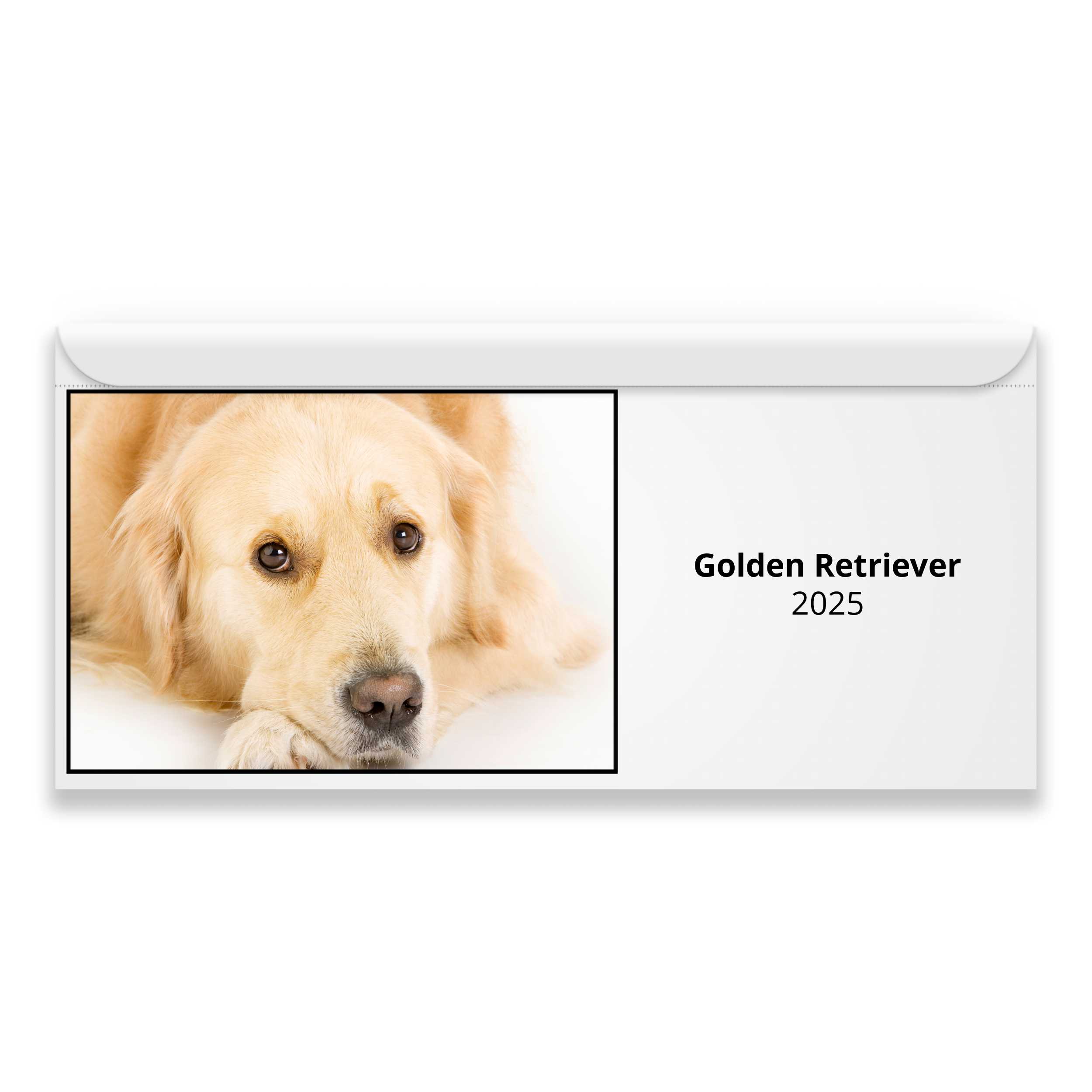 Golden Retriever 2025 Calendar