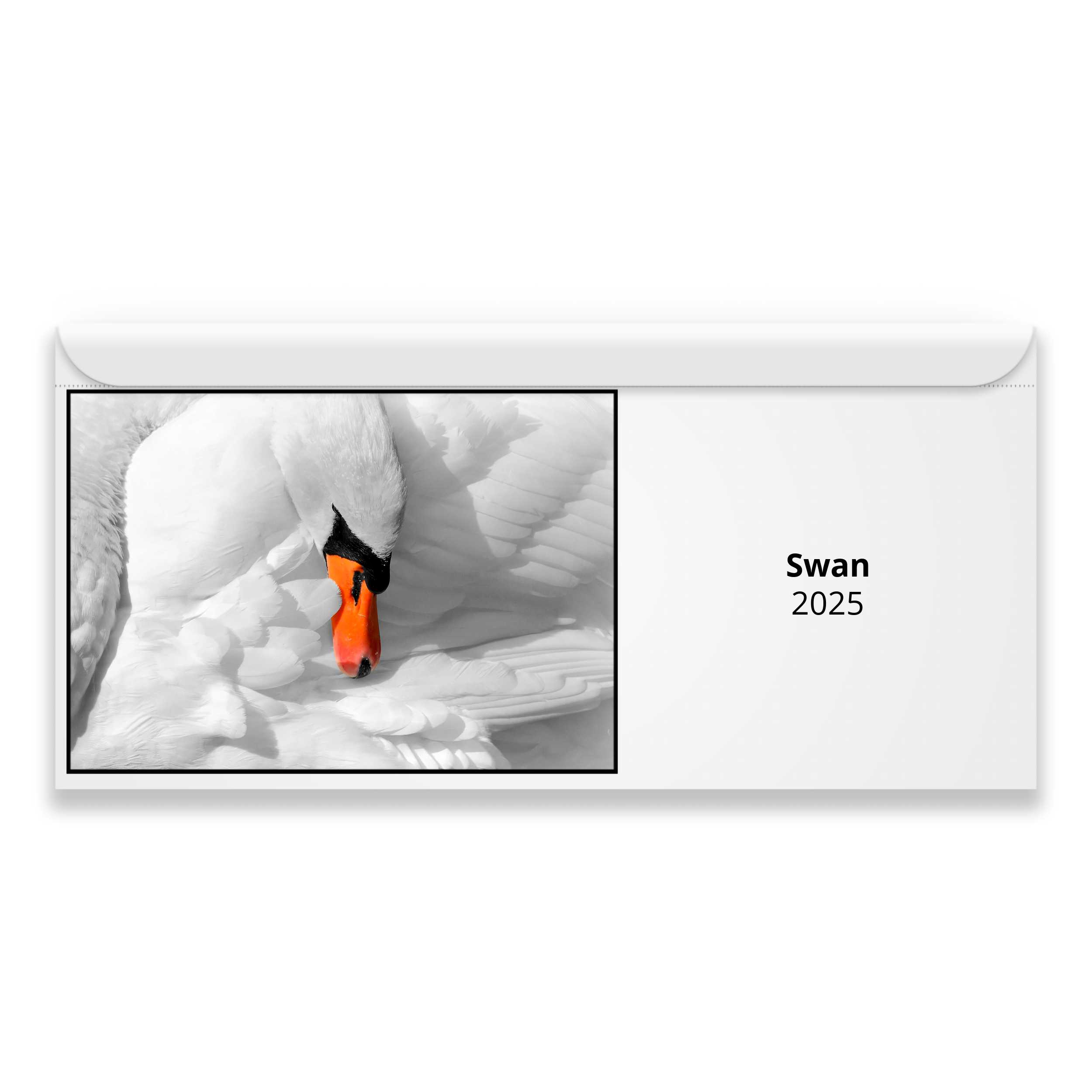 Swan 2024 Calendar