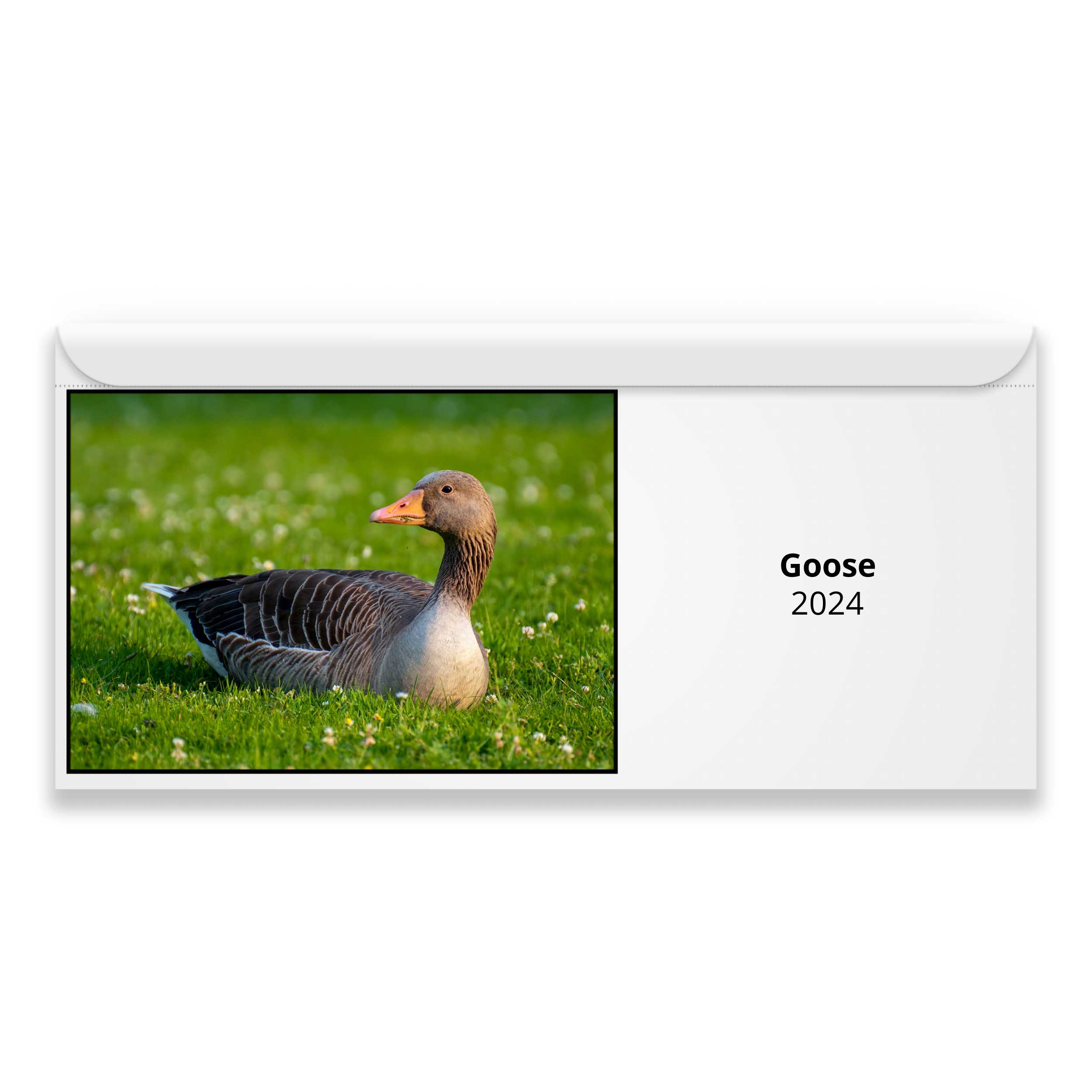 Goose 2024 Calendar
