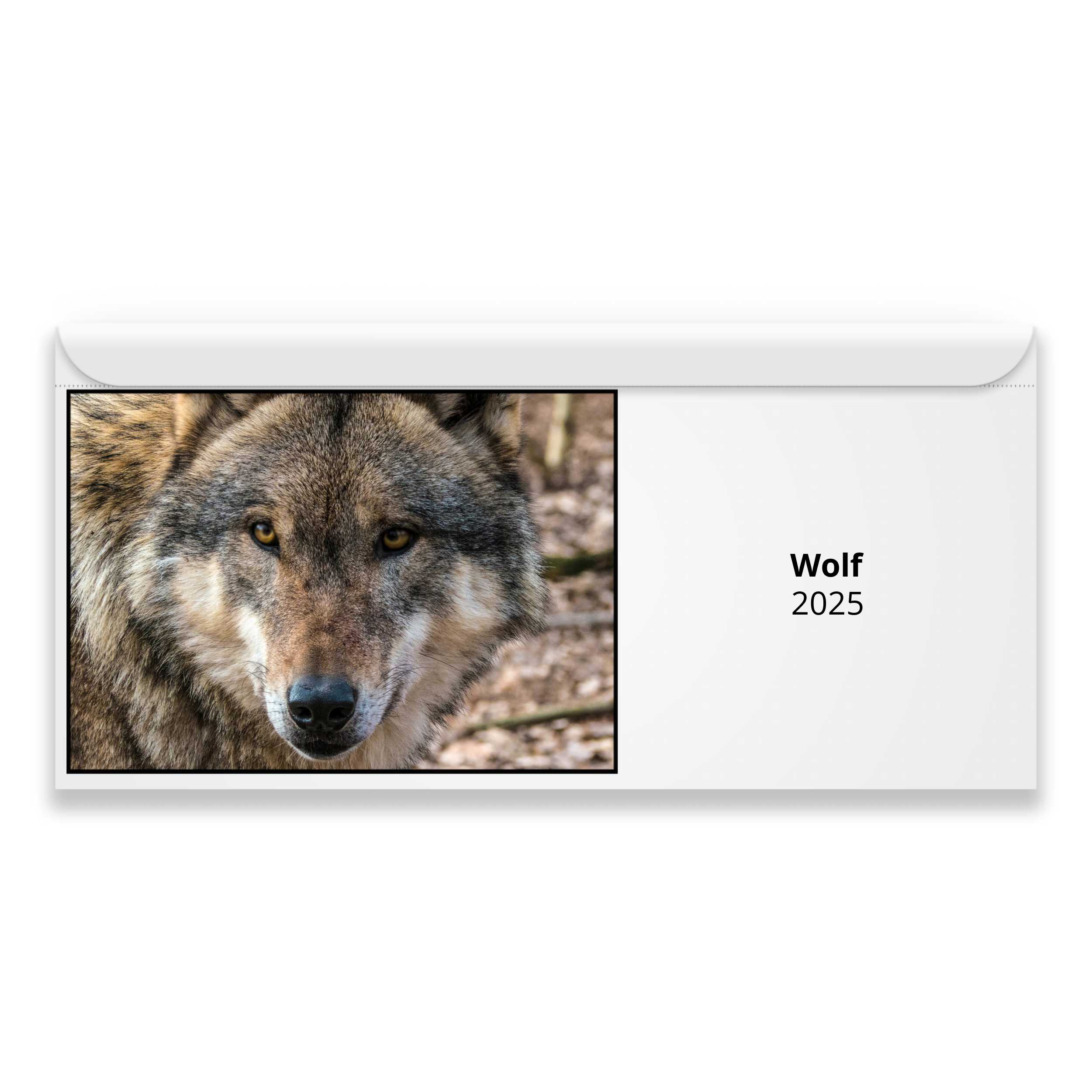 Wolf 2025 Magnetic Calendar   M23129 Cover 