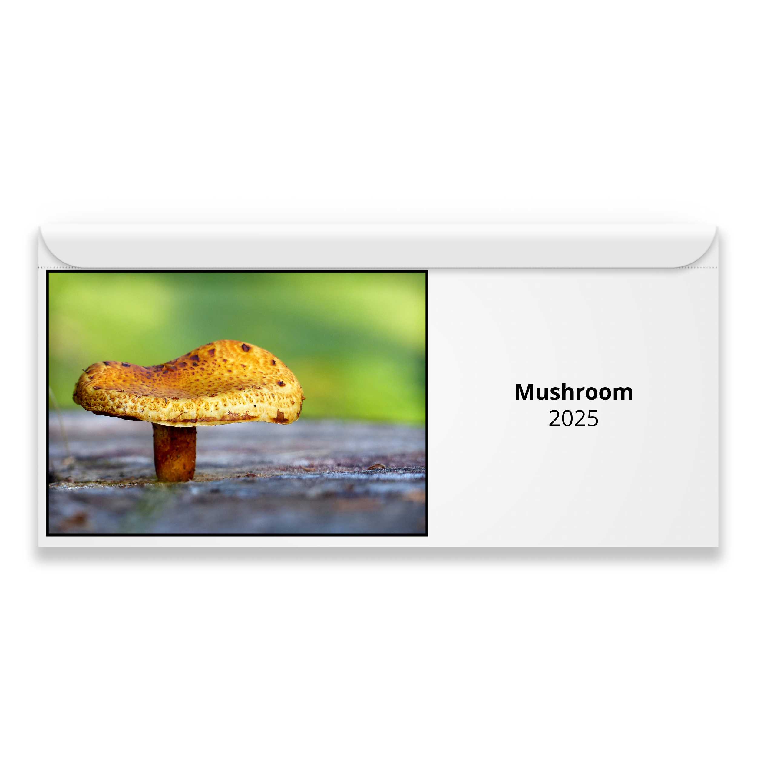 Mushroom 2025 Calendar