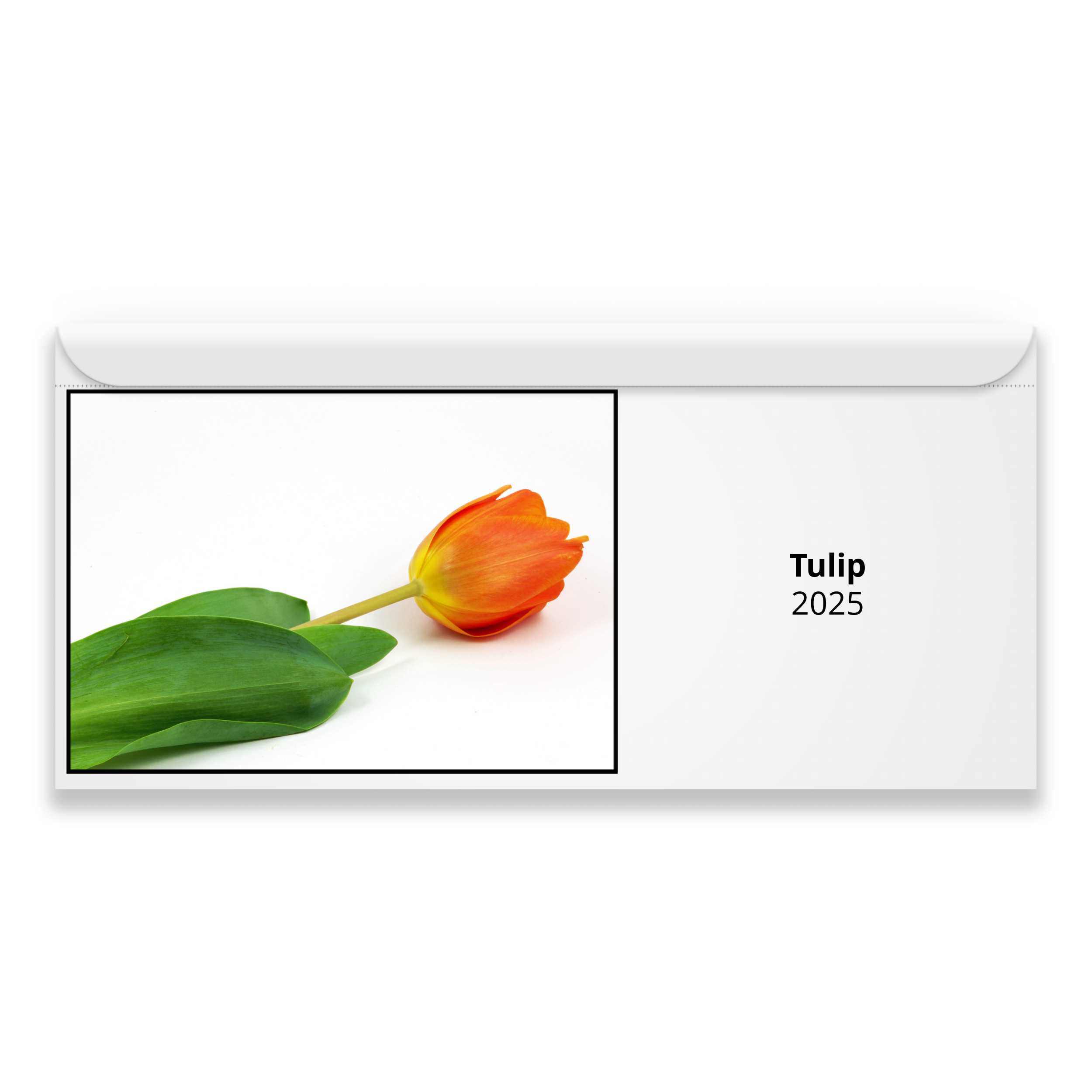 Tulip 2025 Calendar