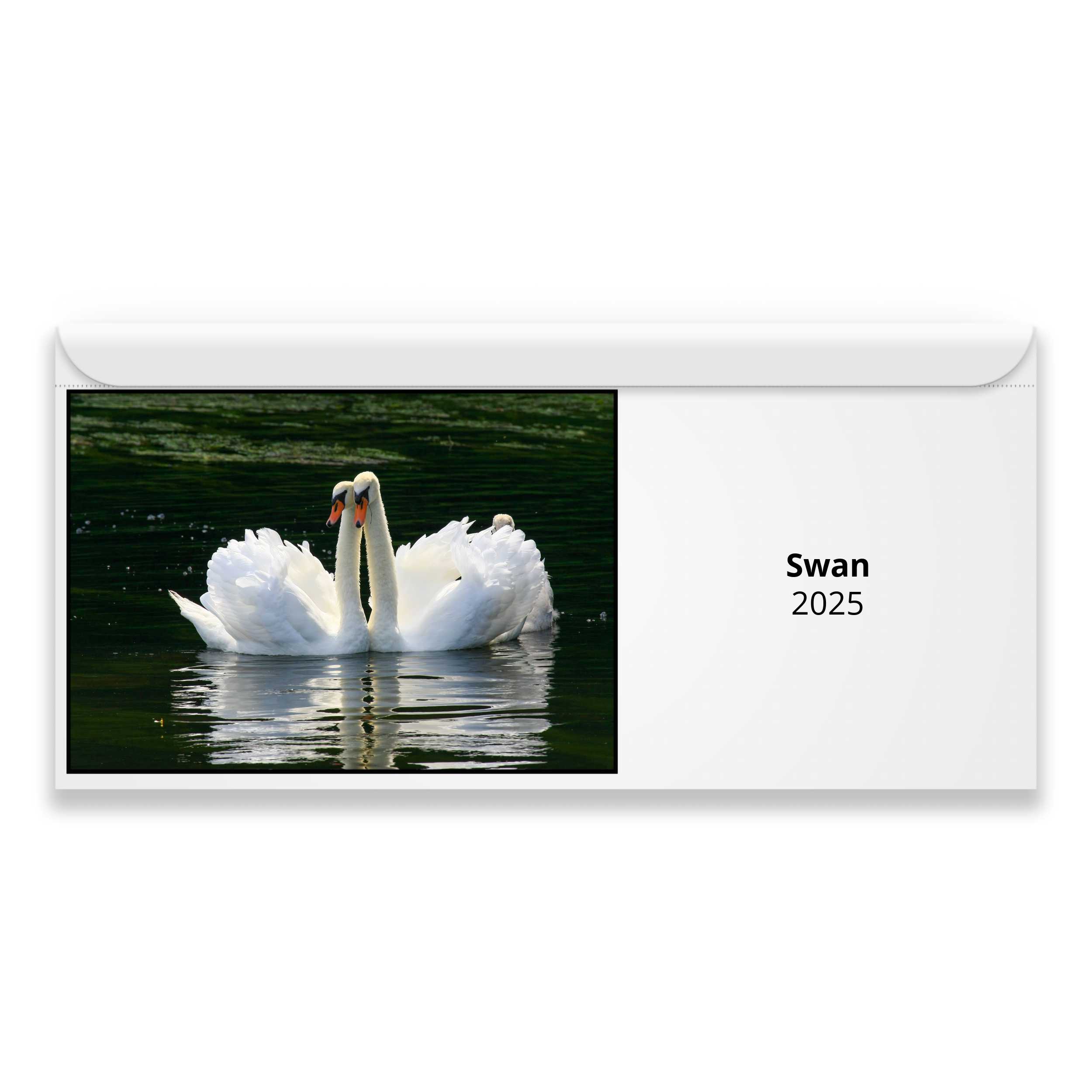 Swan 2024 Calendar