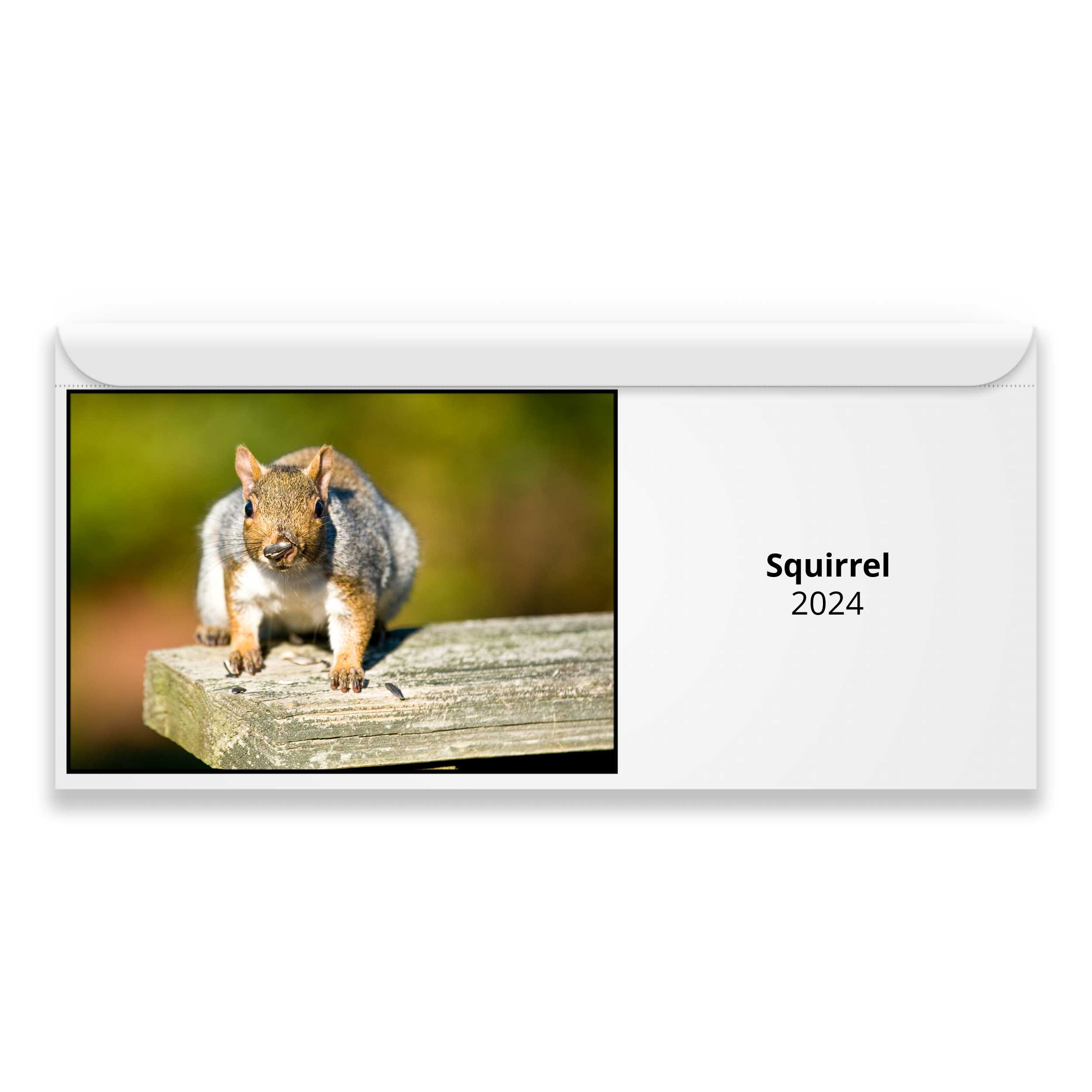 Squirrel 2024 Calendar
