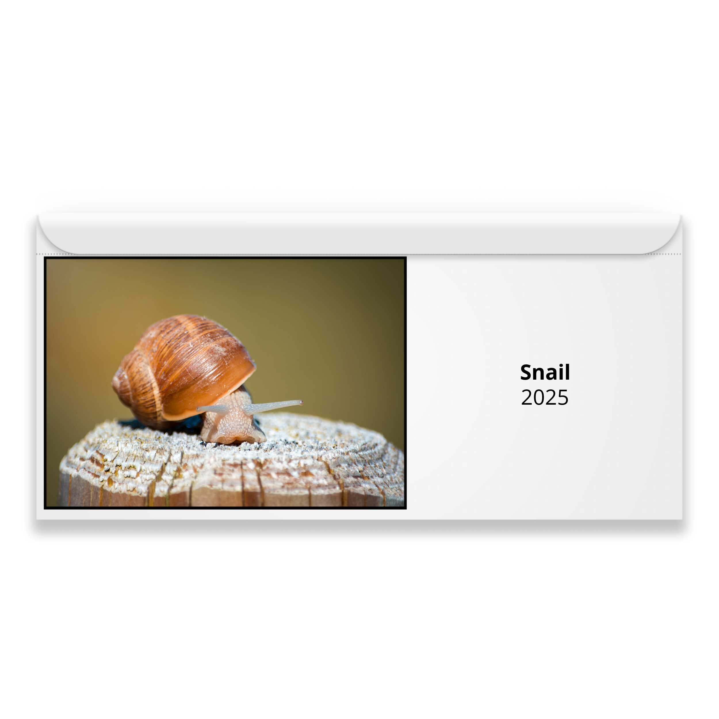 Snail 2025 Calendar