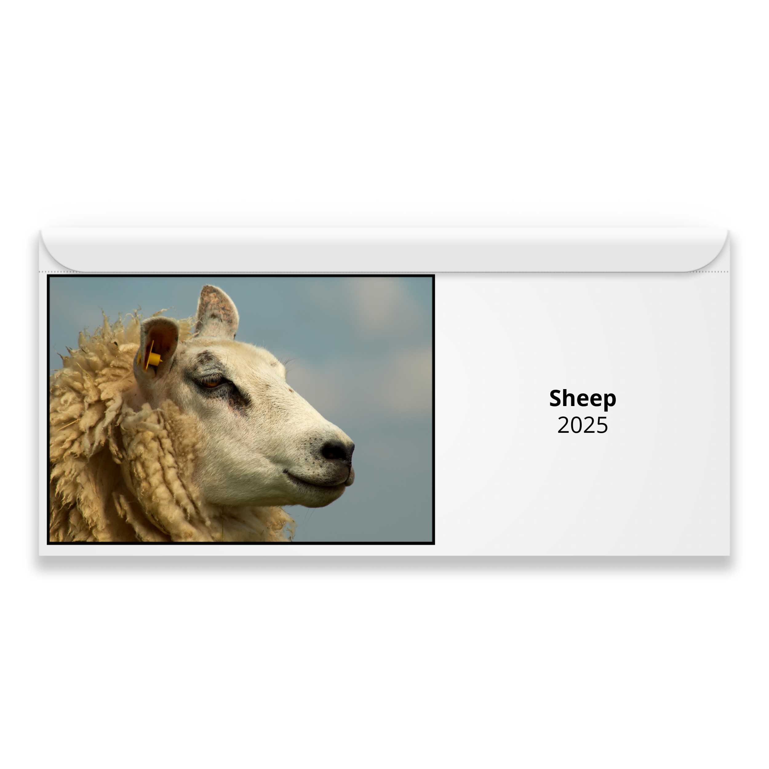 Sheep 2024 Magnetic Calendar   M24015 Cover 