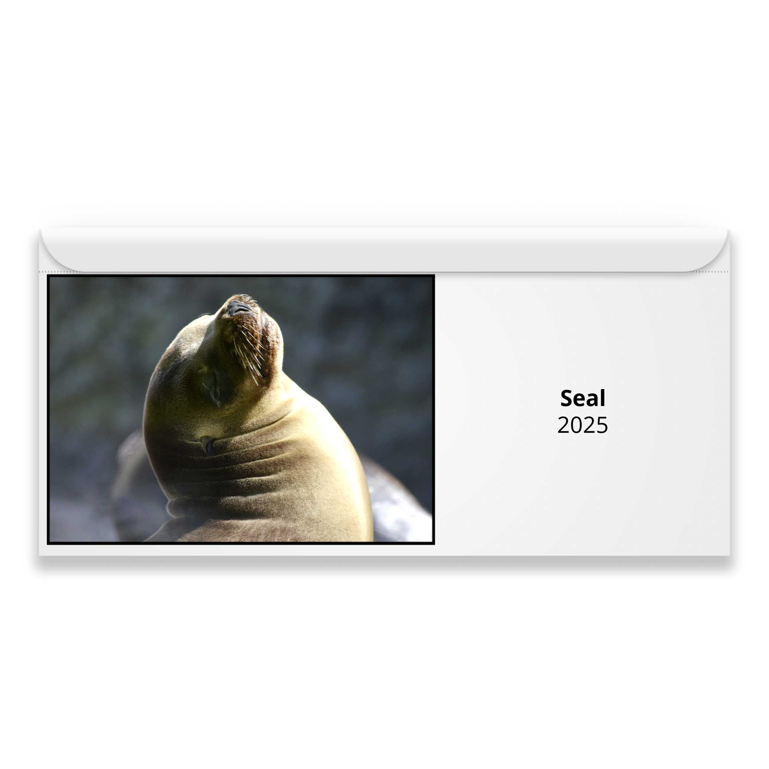 Seal 2025 Magnetic Calendar   M24016 Cover 