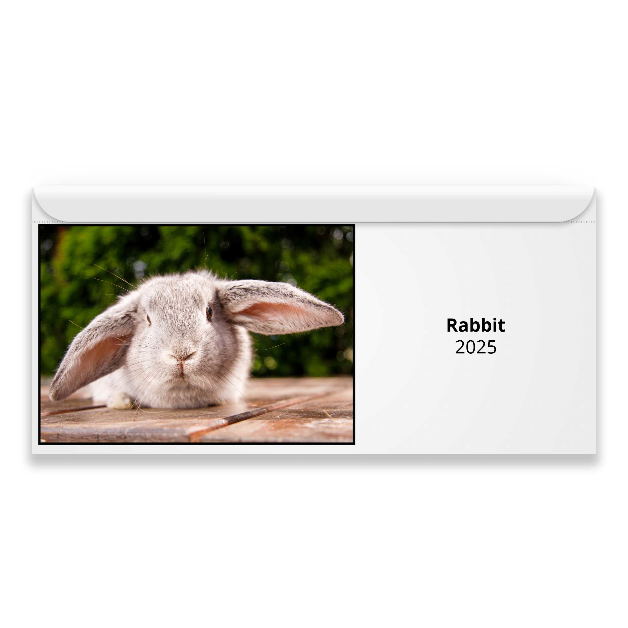 Rabbit 2025 Magnetic Calendar   M24019 Cover 