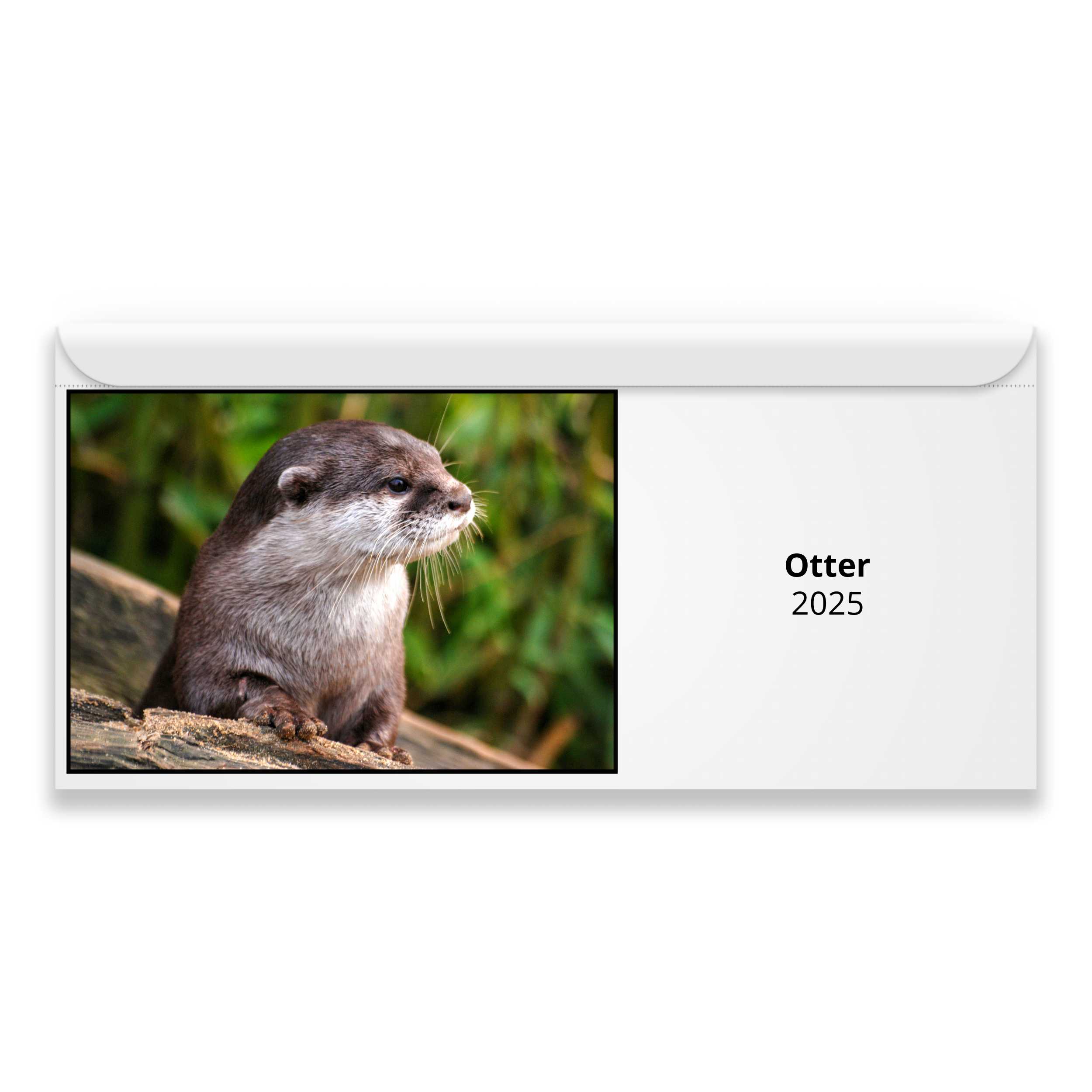 Otter 2024 Calendar