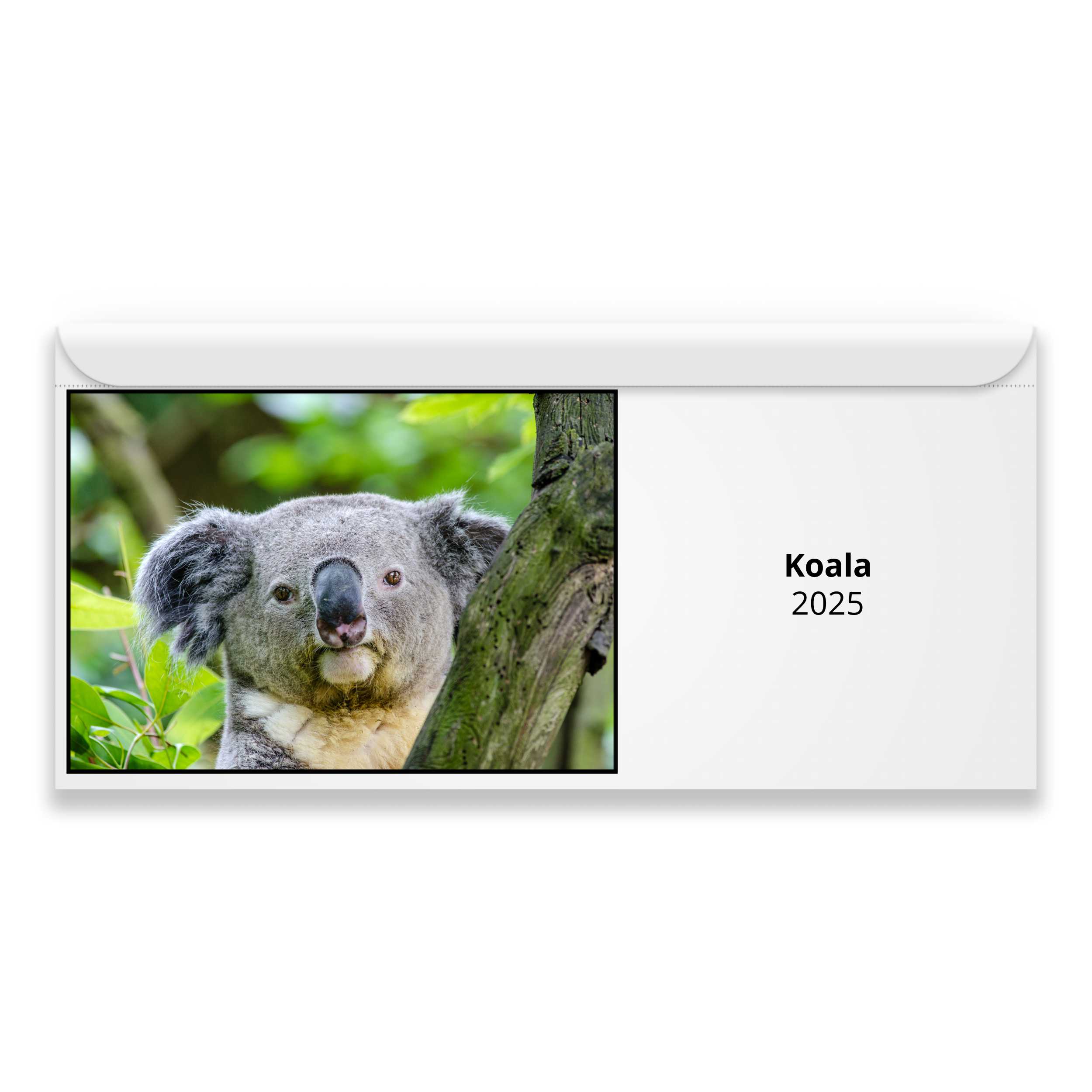 Koala 2025 Calendar