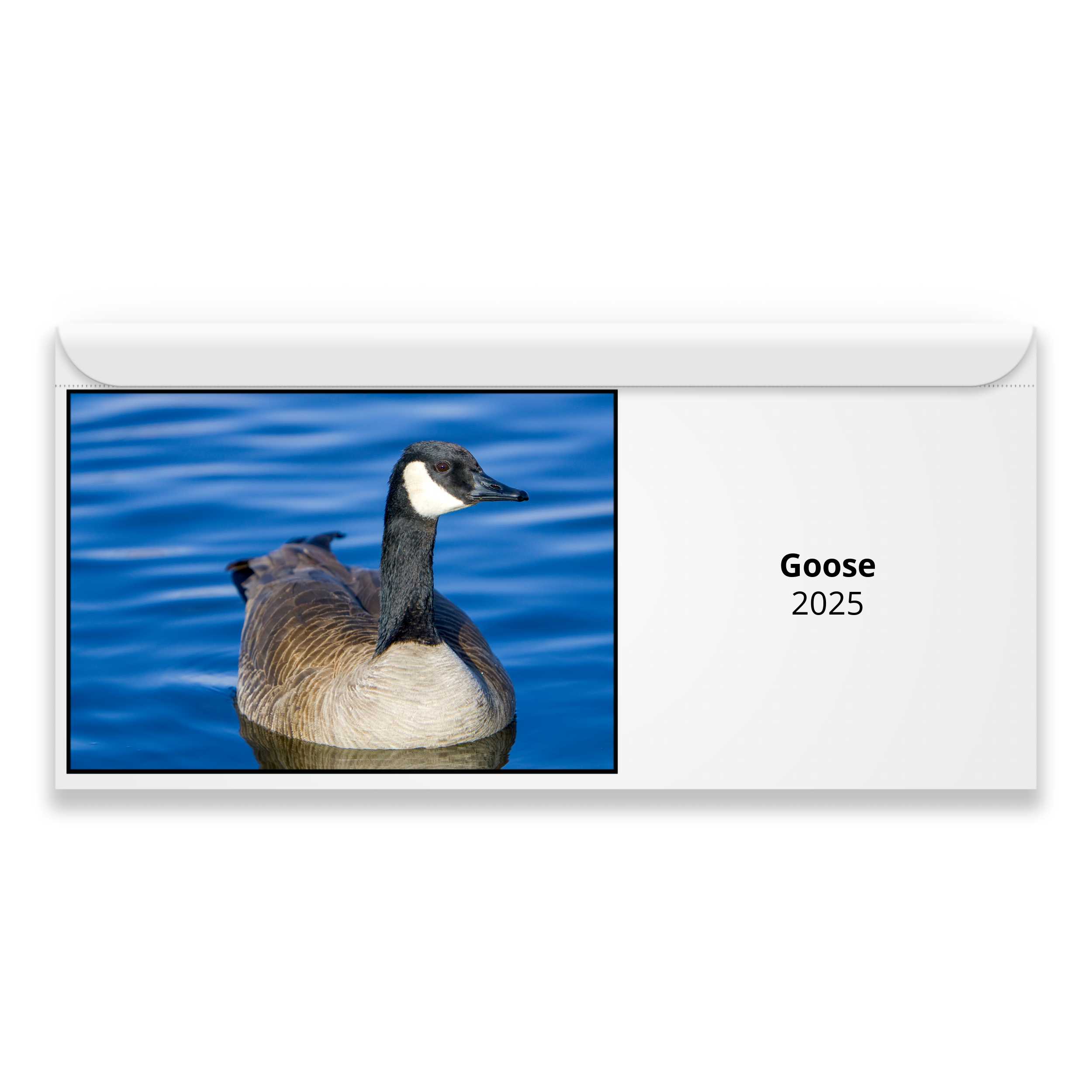 Goose 2024 Calendar