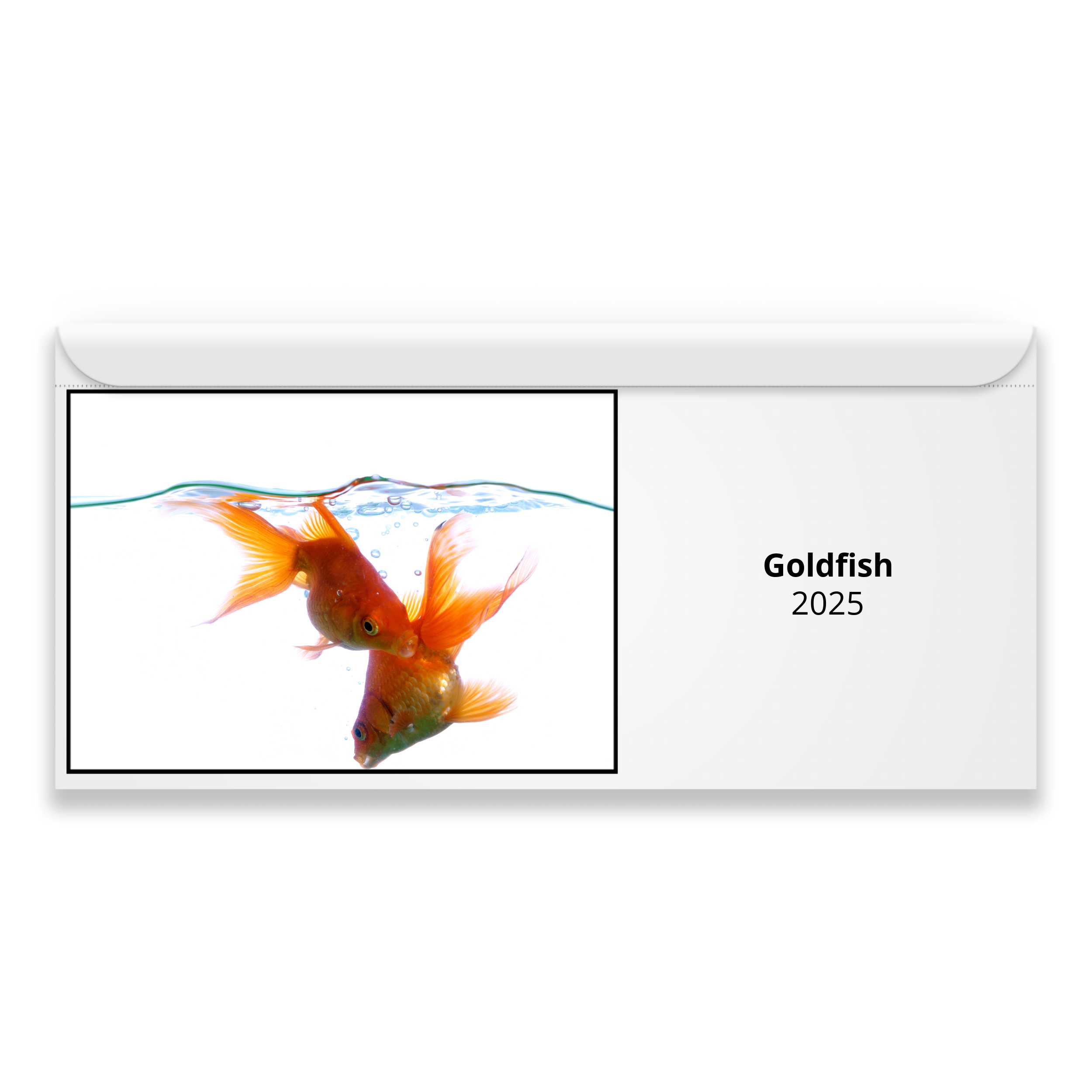 Goldfish 2025 Magnetic Calendar   M24043 Cover 