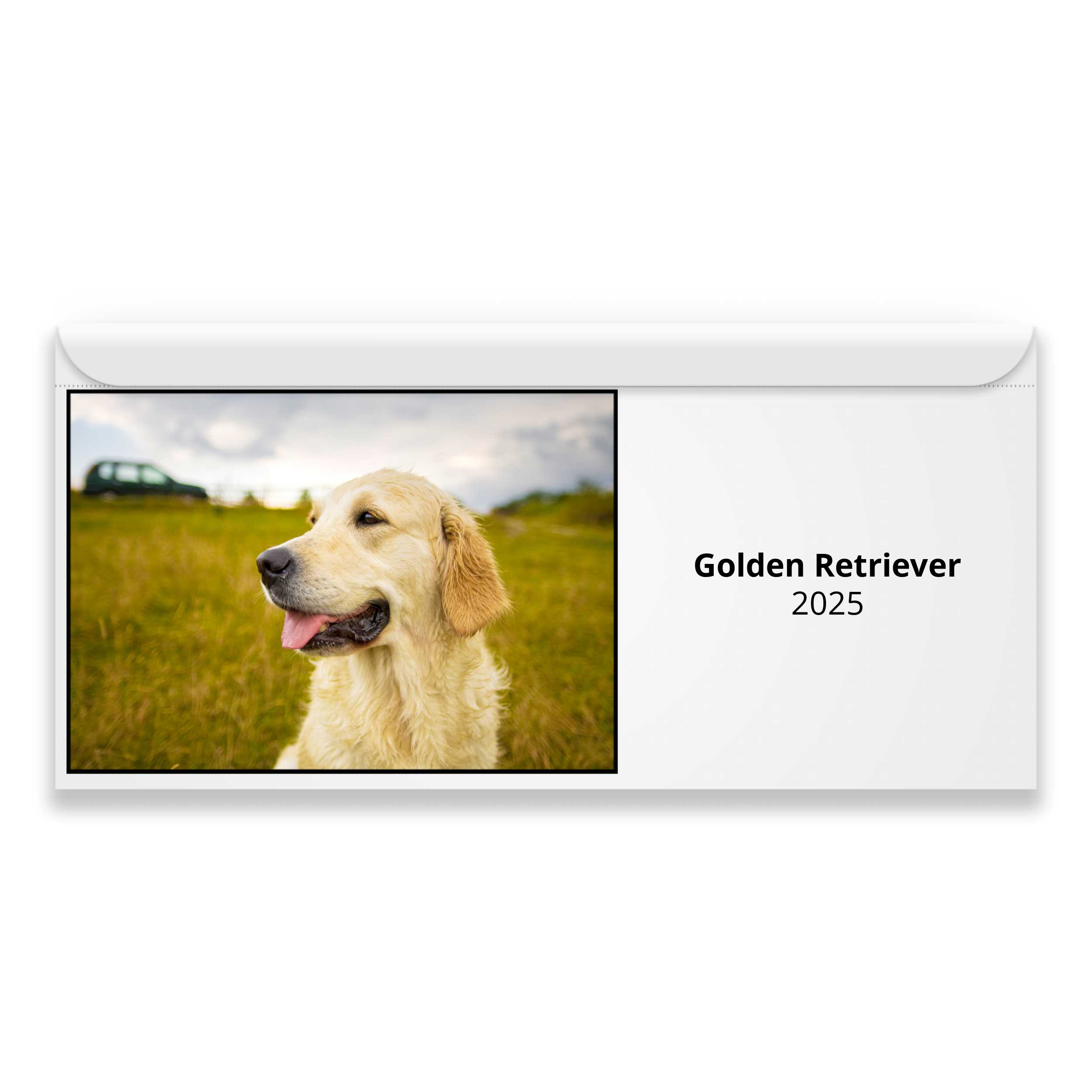 Golden Retriever 2025 Magnetic Calendar   M24044 Cover 