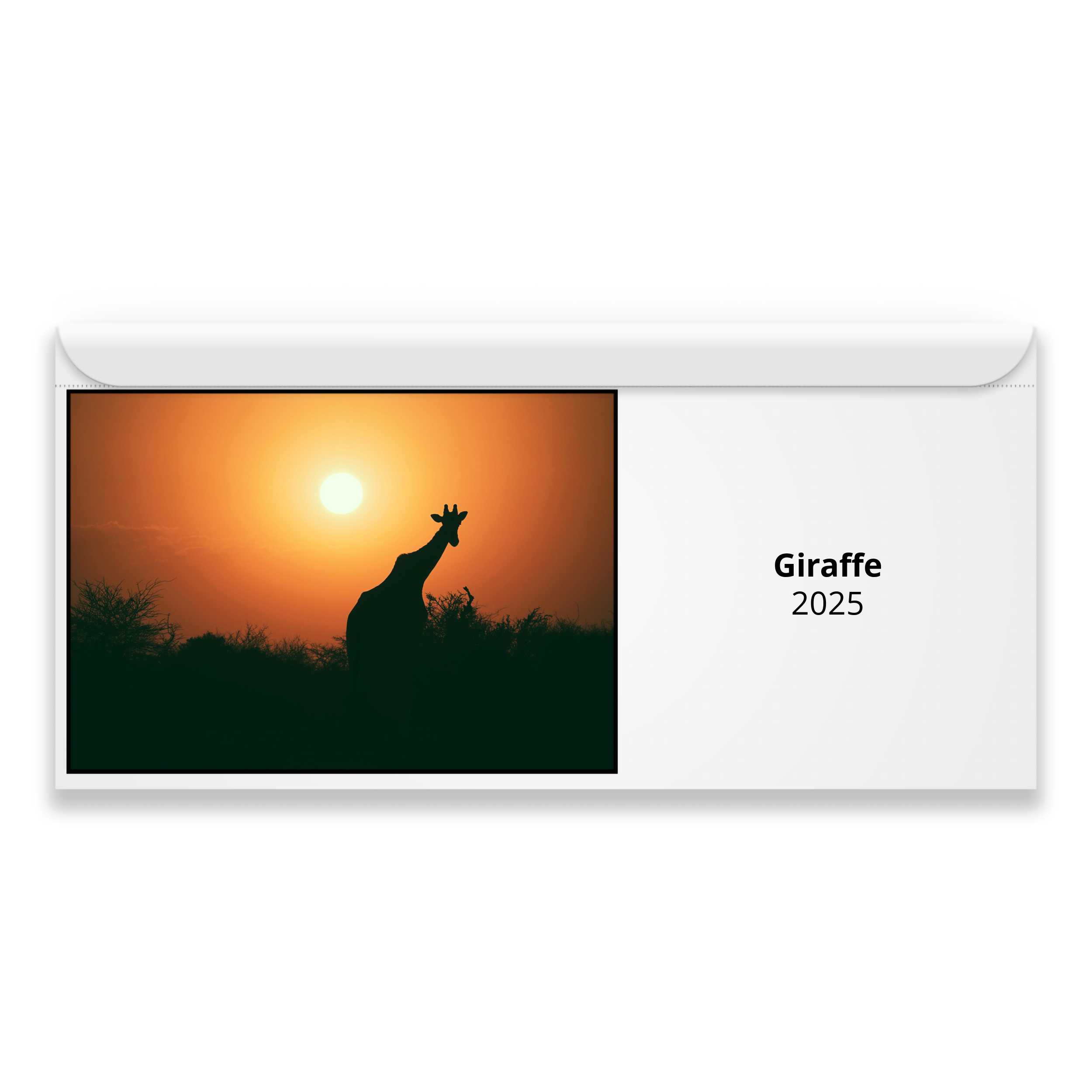 Giraffe 2024 Calendar