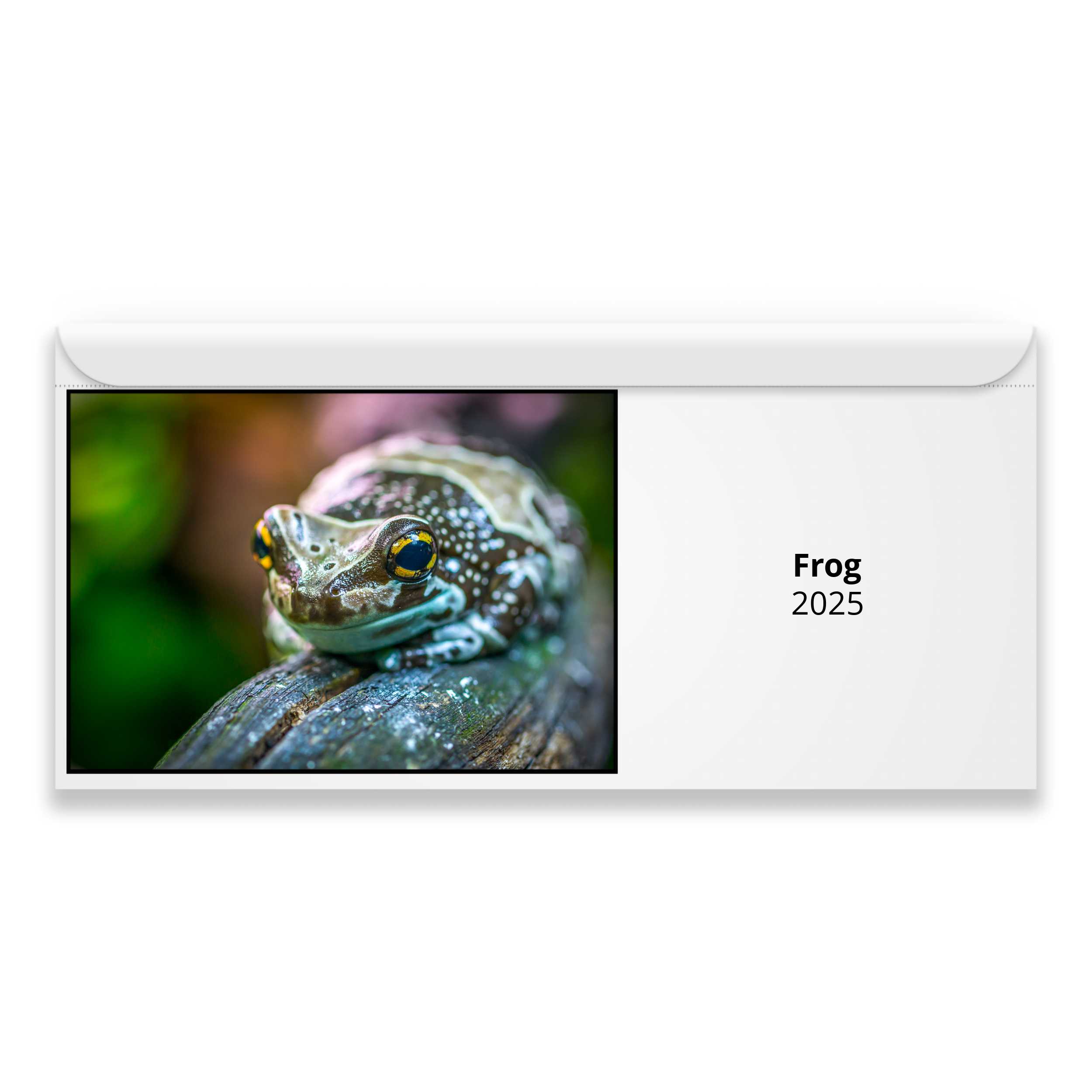 Frog 2024 Magnetic Calendar   M24047 Cover 