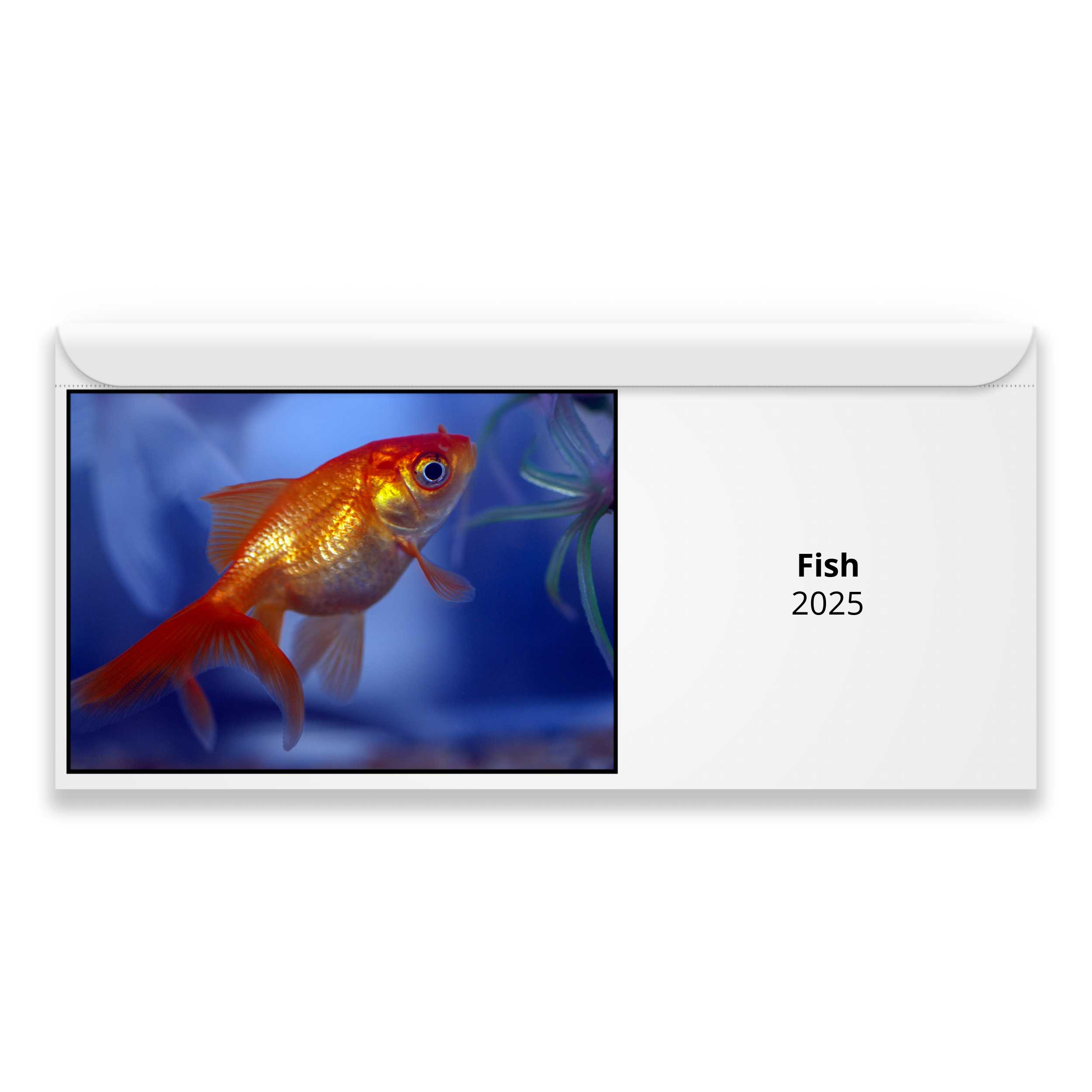 Fish 2024 Calendar