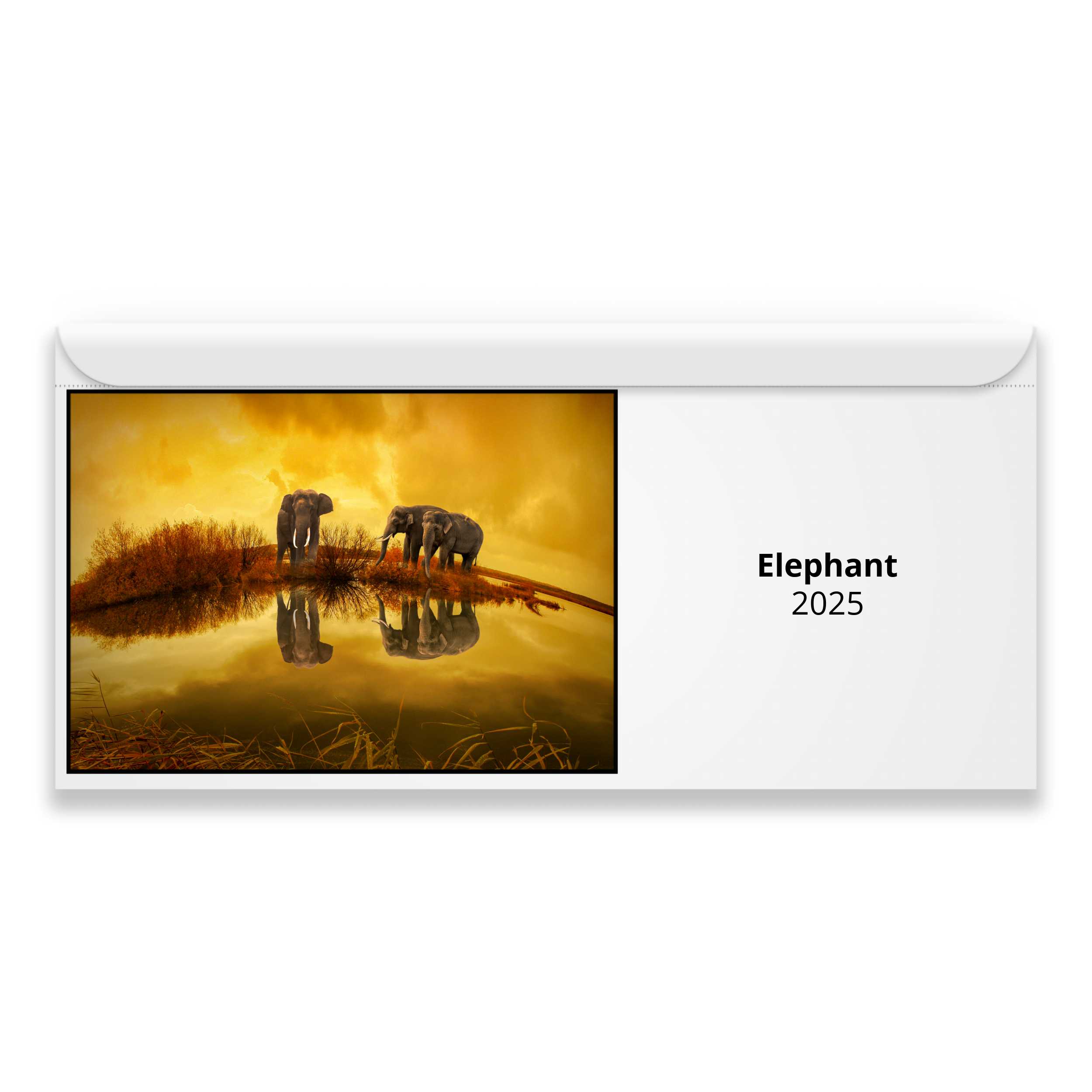 Elephant 2025 Magnetic Calendar   M24051 Cover 