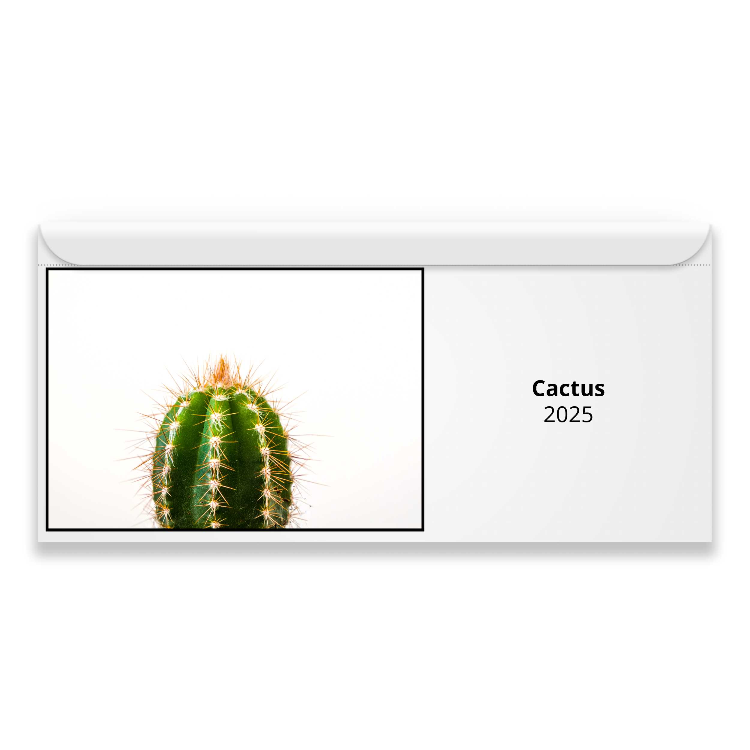 Cactus 2025 Calendar