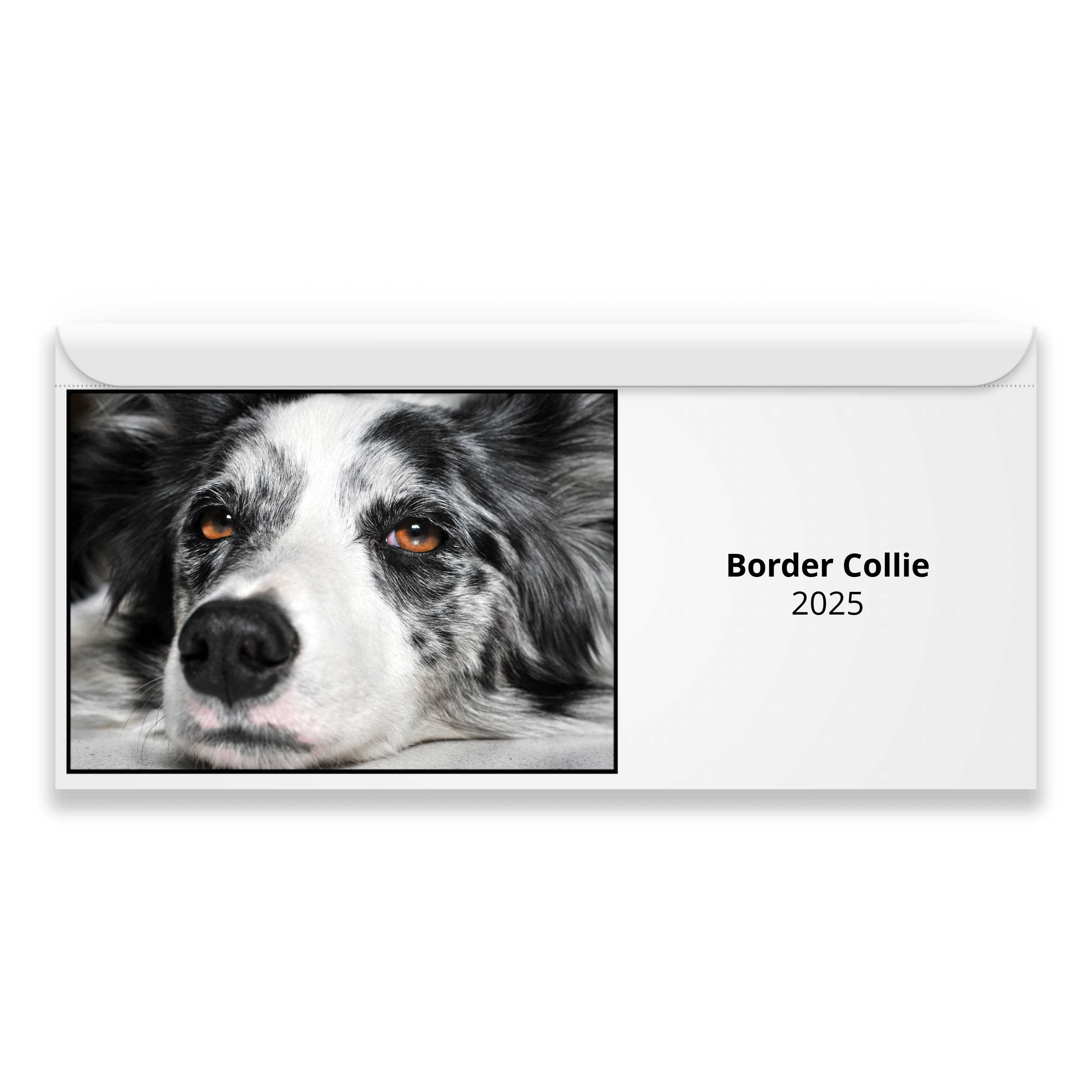 Border Collie 2024 Magnetic Calendar   M24067 Cover 