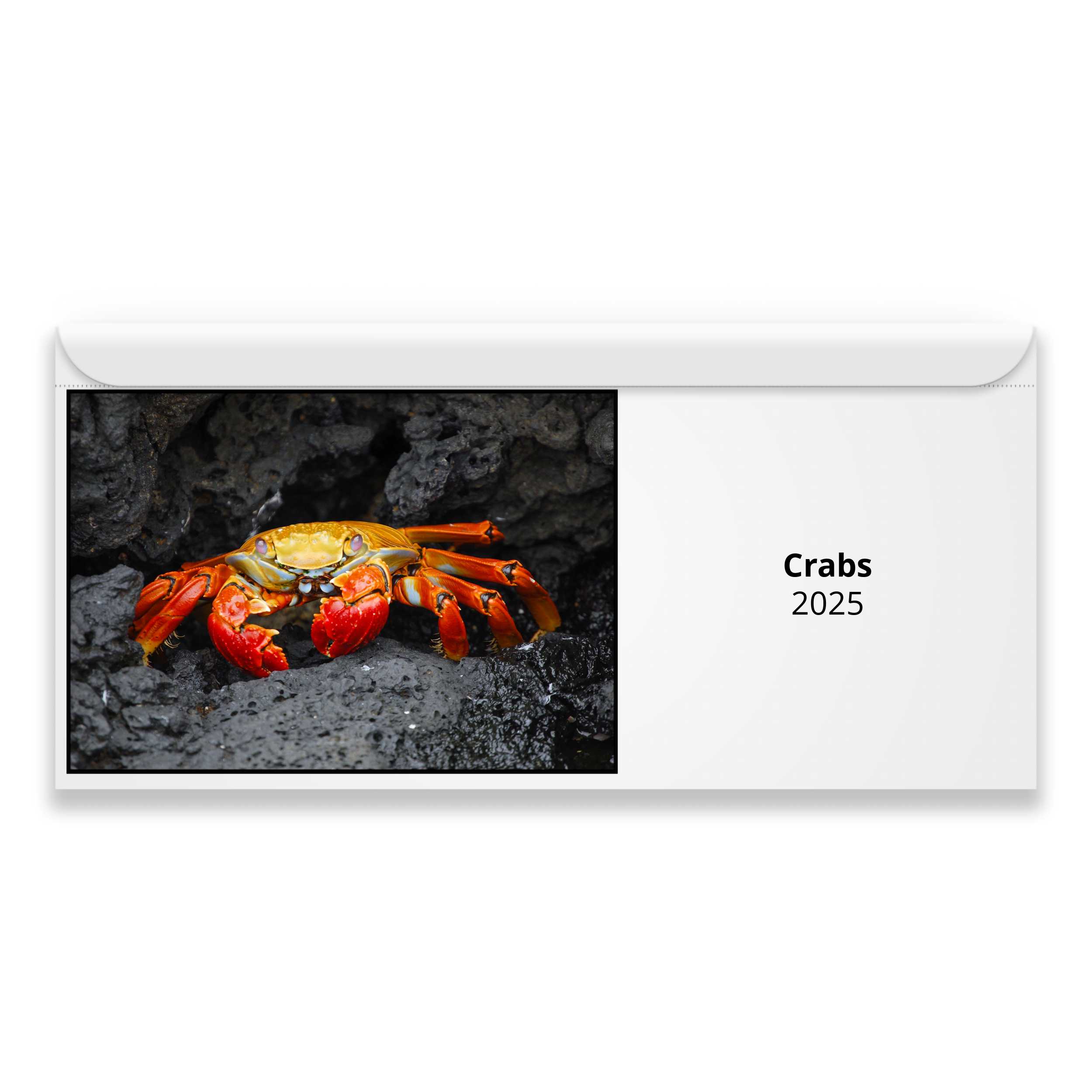 Crabs 2024 Calendar