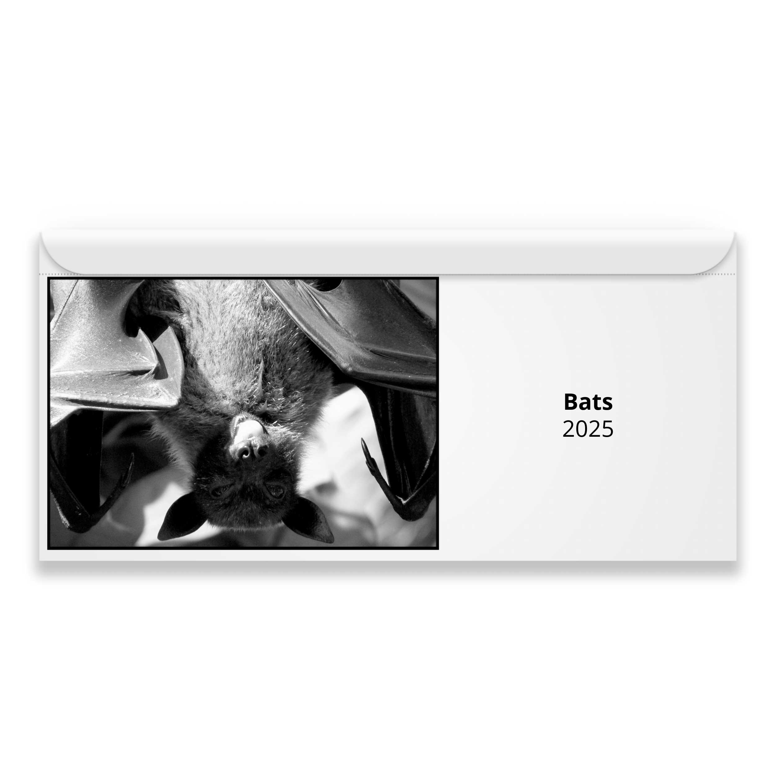 Bats 2025 Calendar