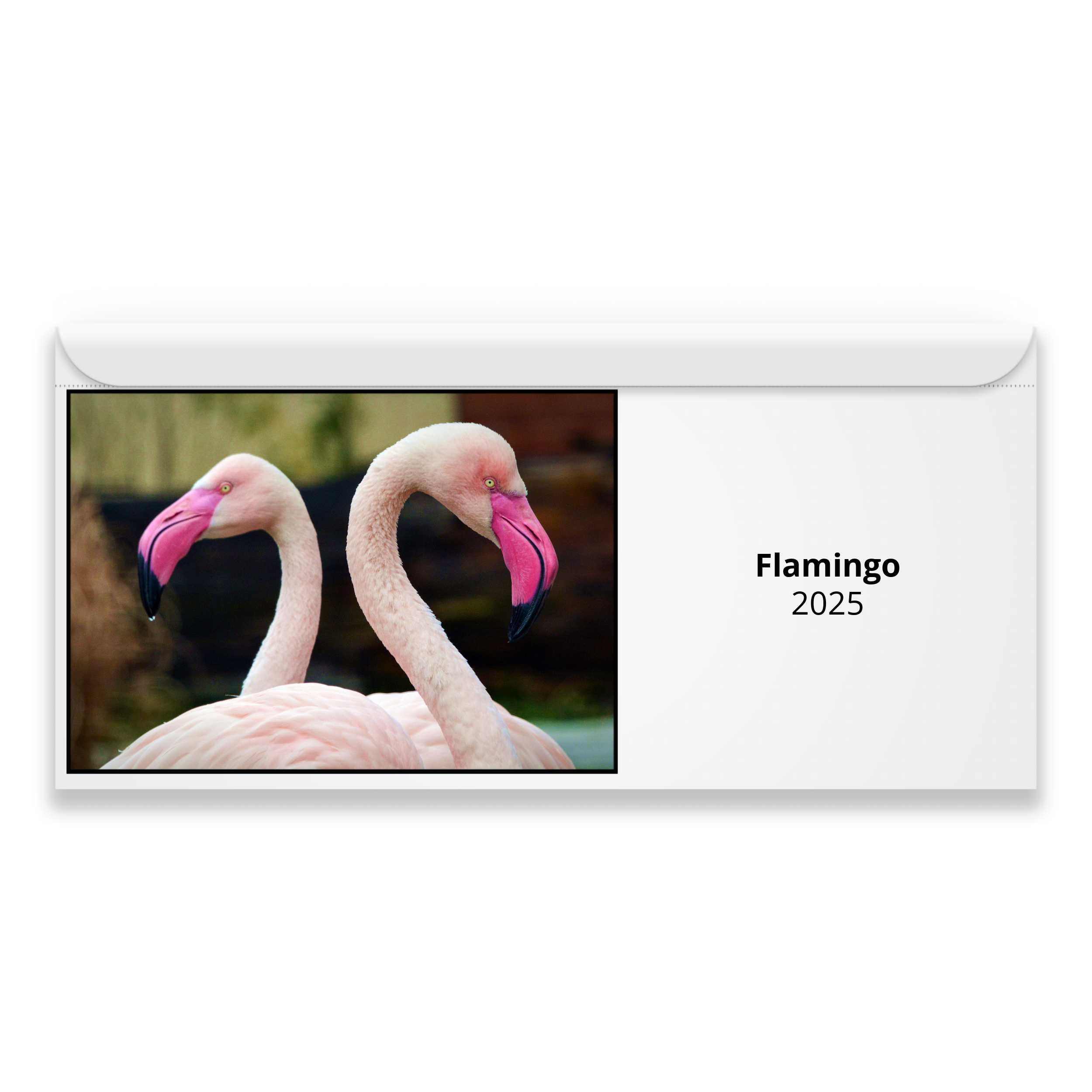 Flamingo 2025 Magnetic Calendar   M24077 Cover 