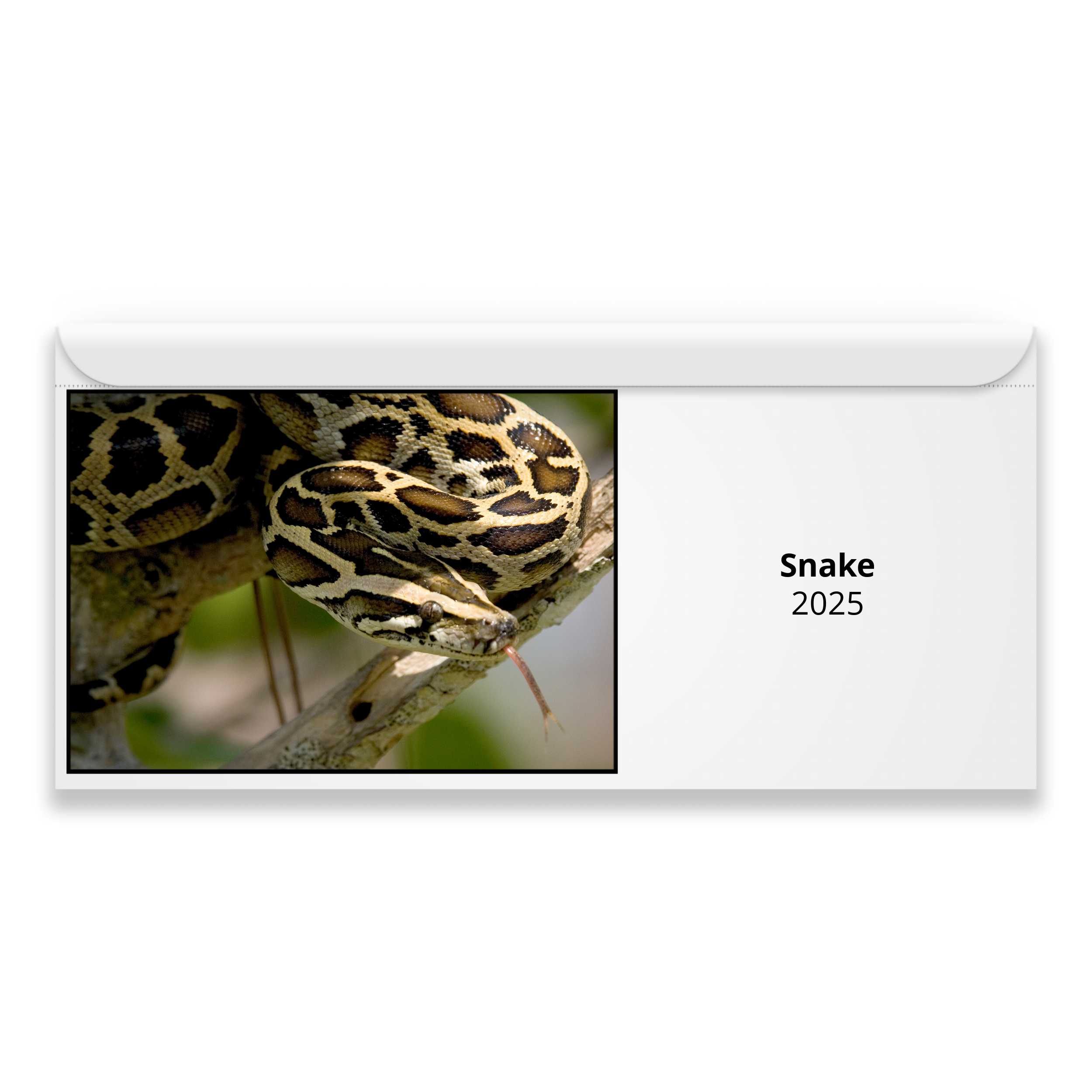 Snake 2025 Magnetic Calendar   M24082 Cover 