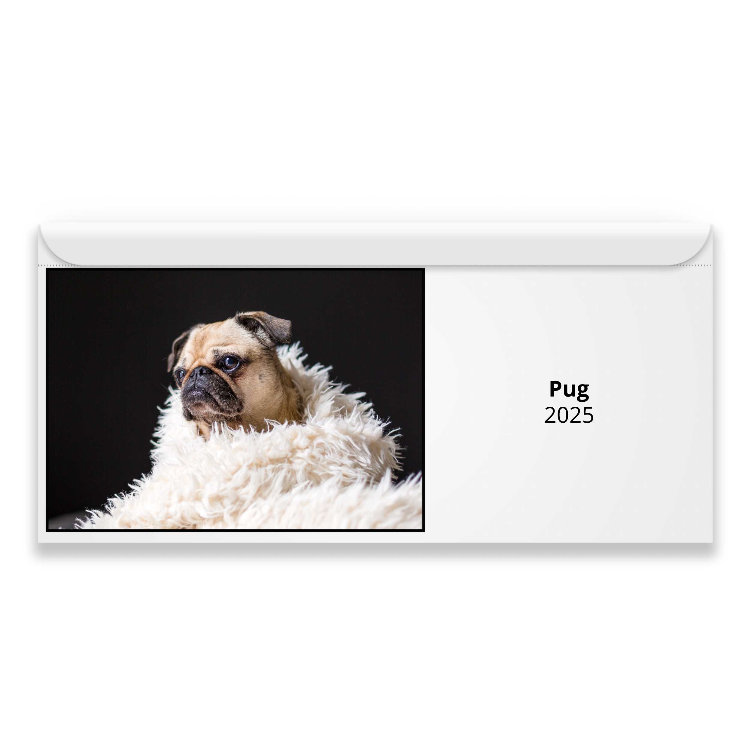 Pug 2025 Calendar