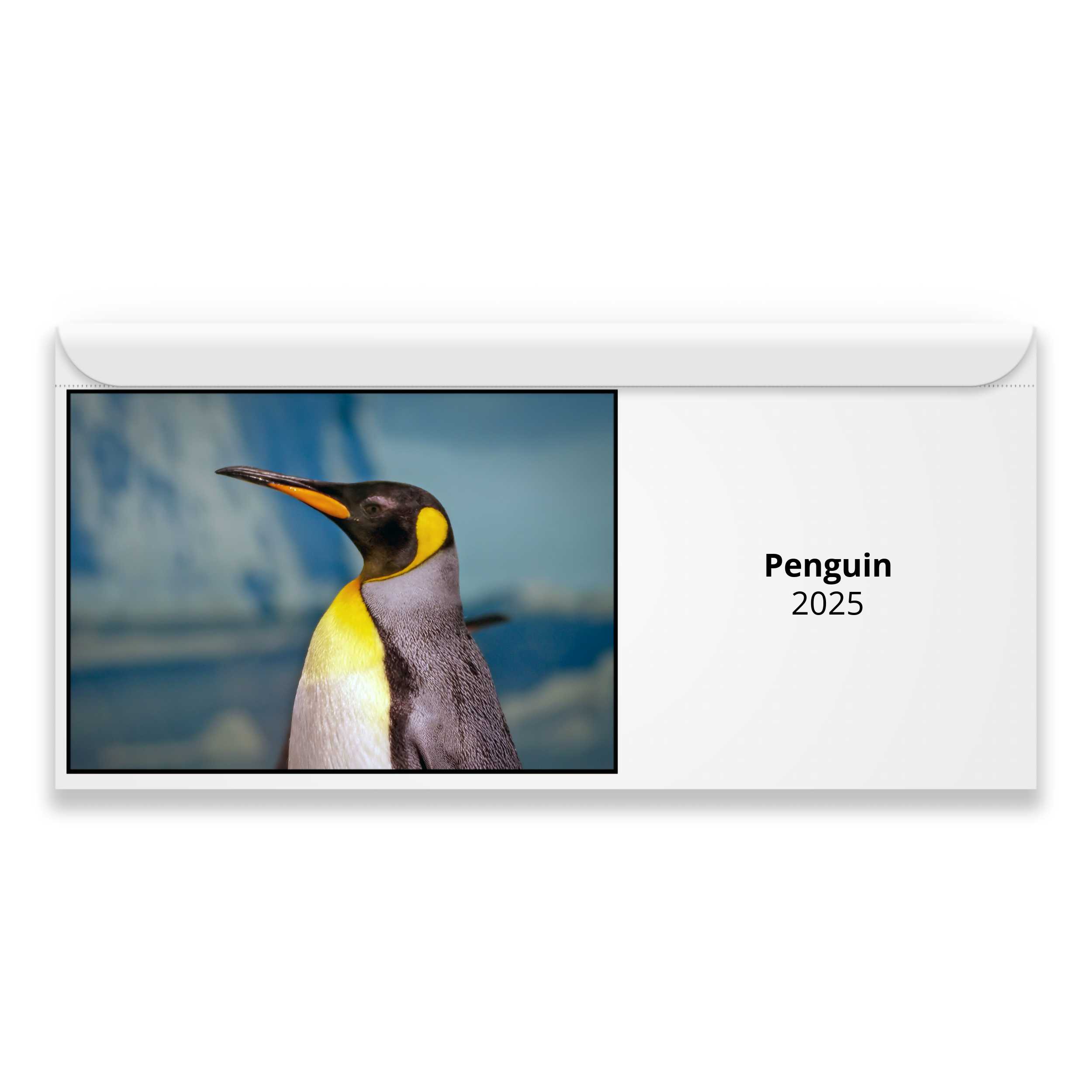 Penguin 2024 Calendar