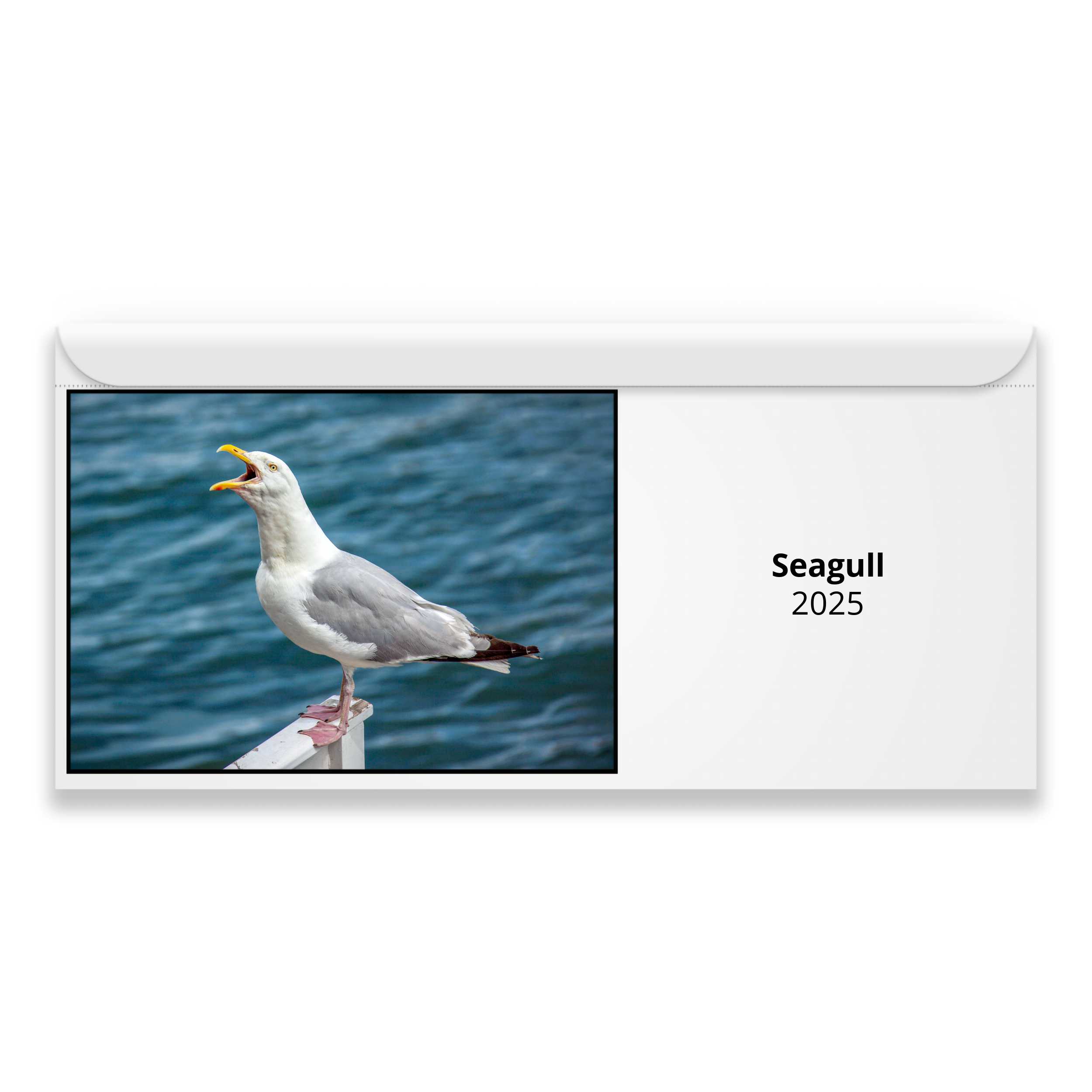 Seagull 2024 Magnetic Calendar   M24138 Cover 