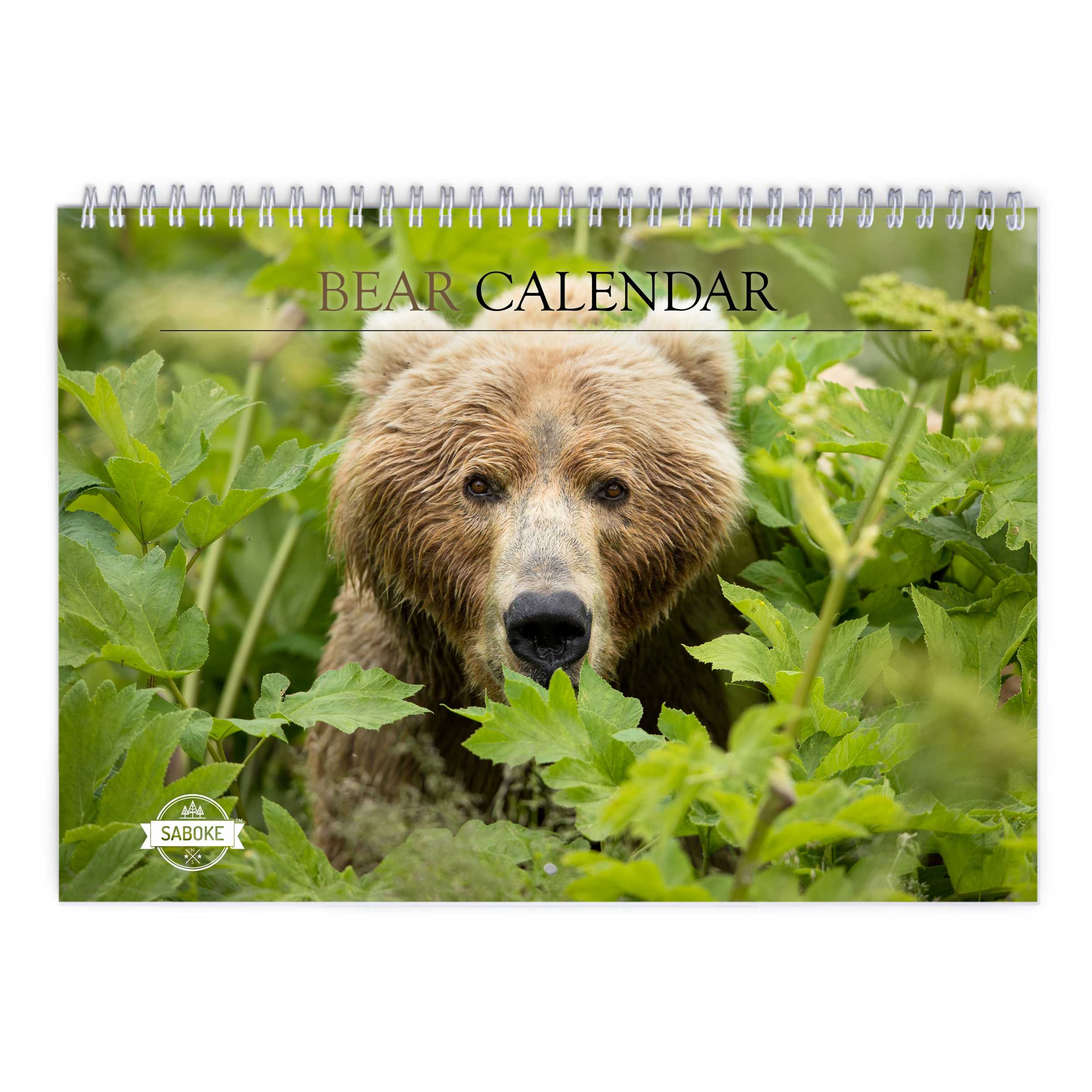 Bear 2025 Wall Calendar