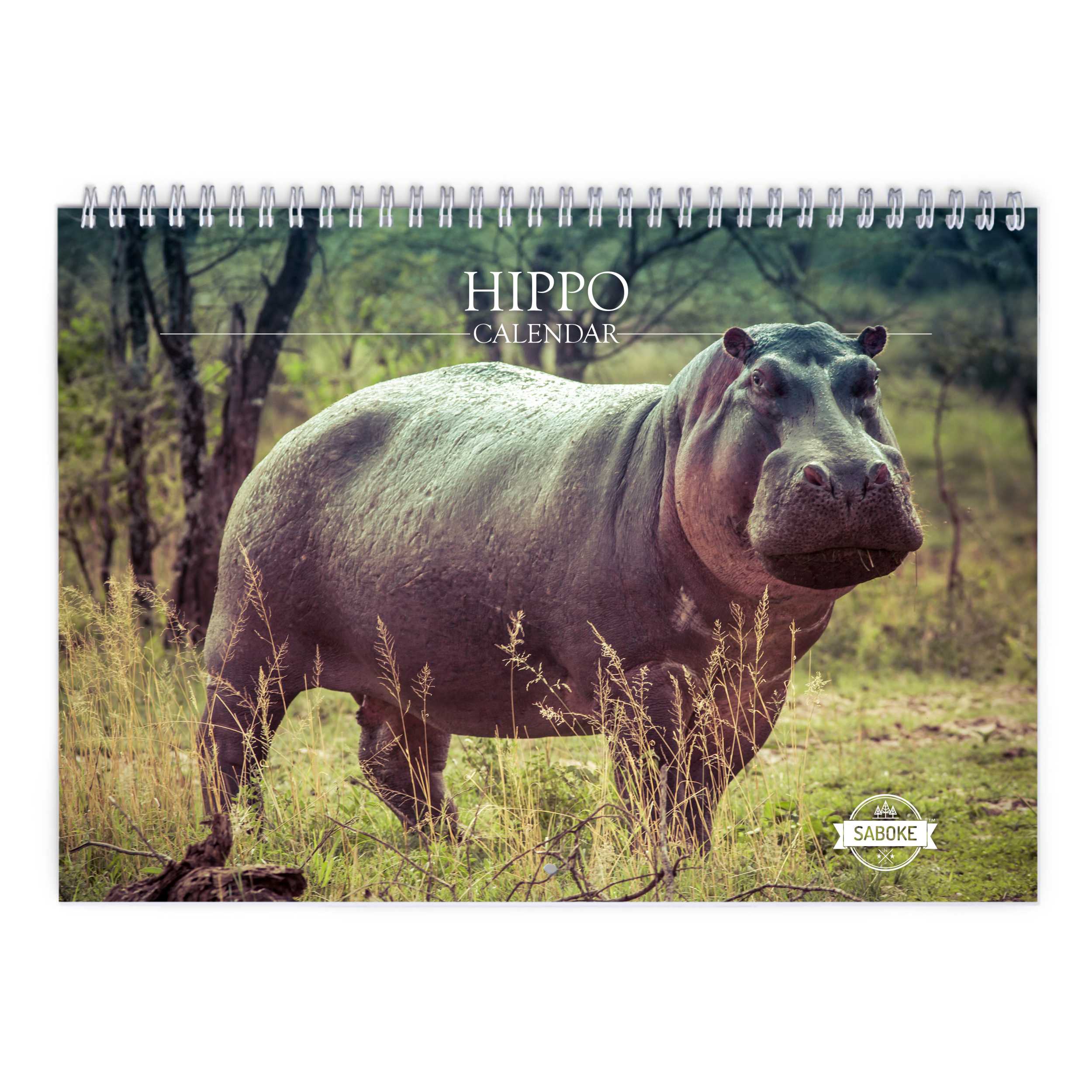 Hippo 2025 Wall Calendar   W23009 Cover 