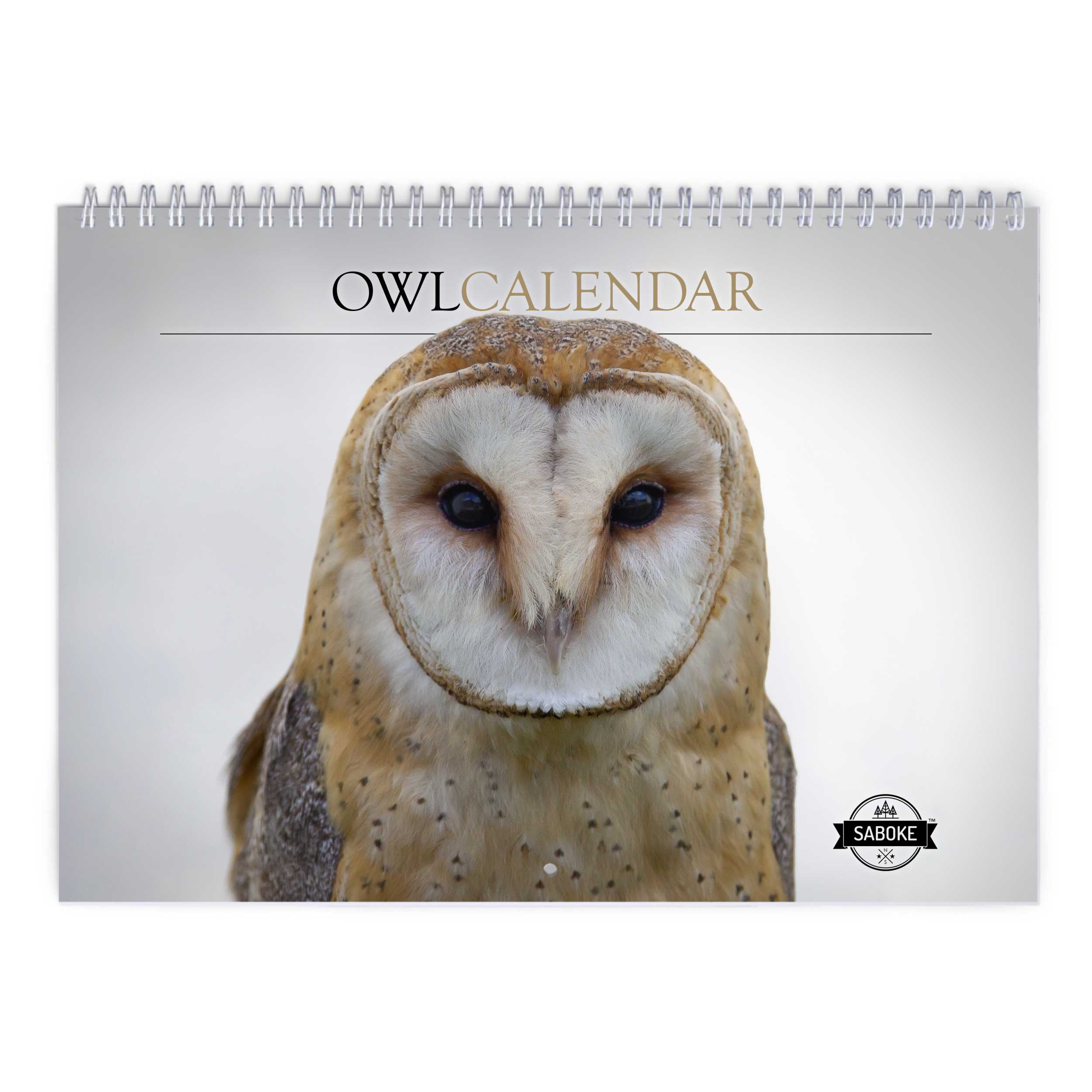 Owl 2025 Wall Calendar