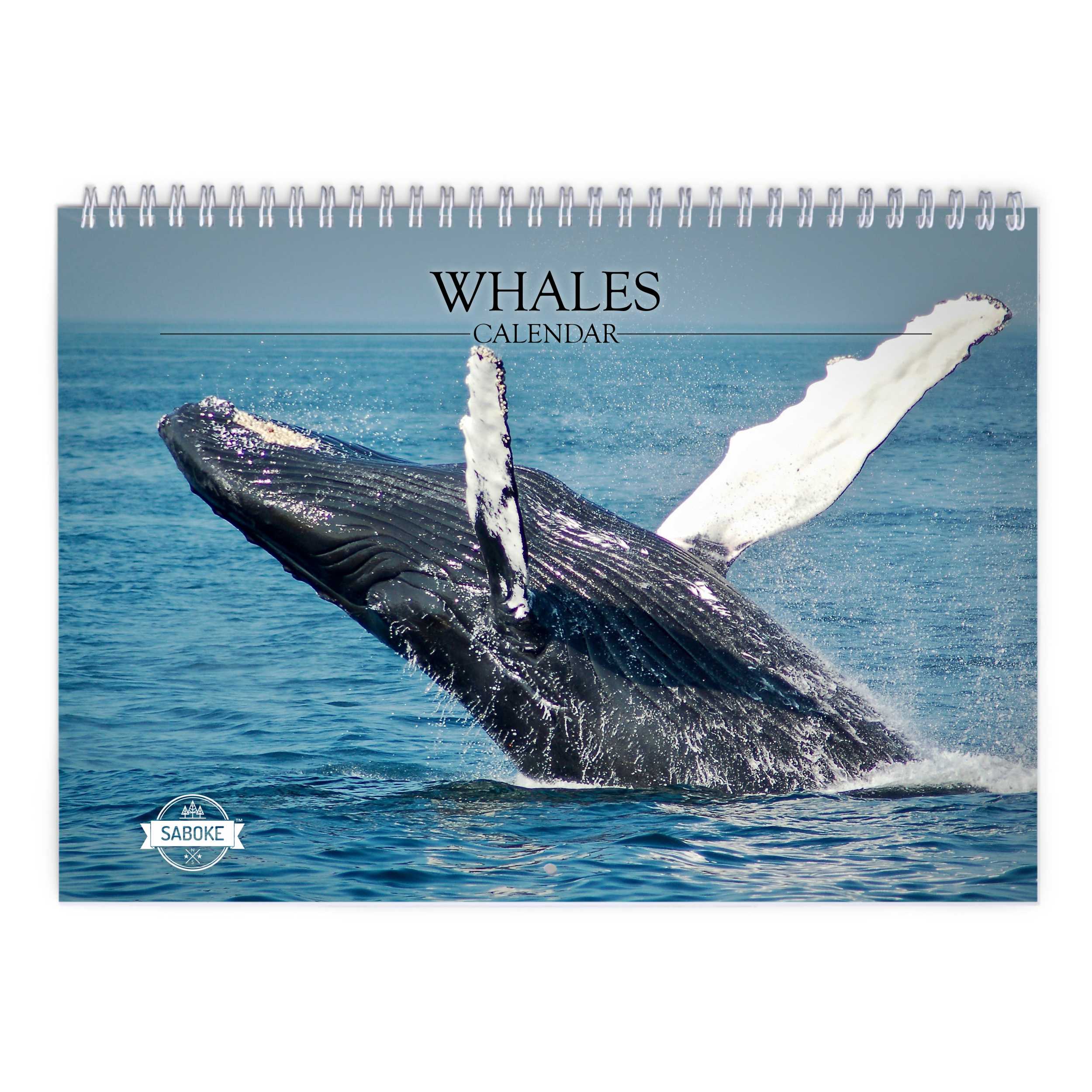 National Geographic: Whales 2024 Wall Calendar - Book Summary & Video, Official Publisher Page