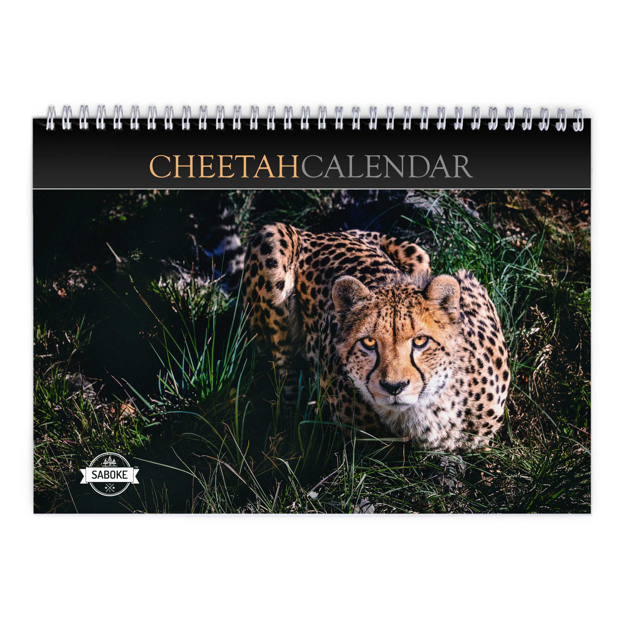 Cheetah 2025 Wall Calendar