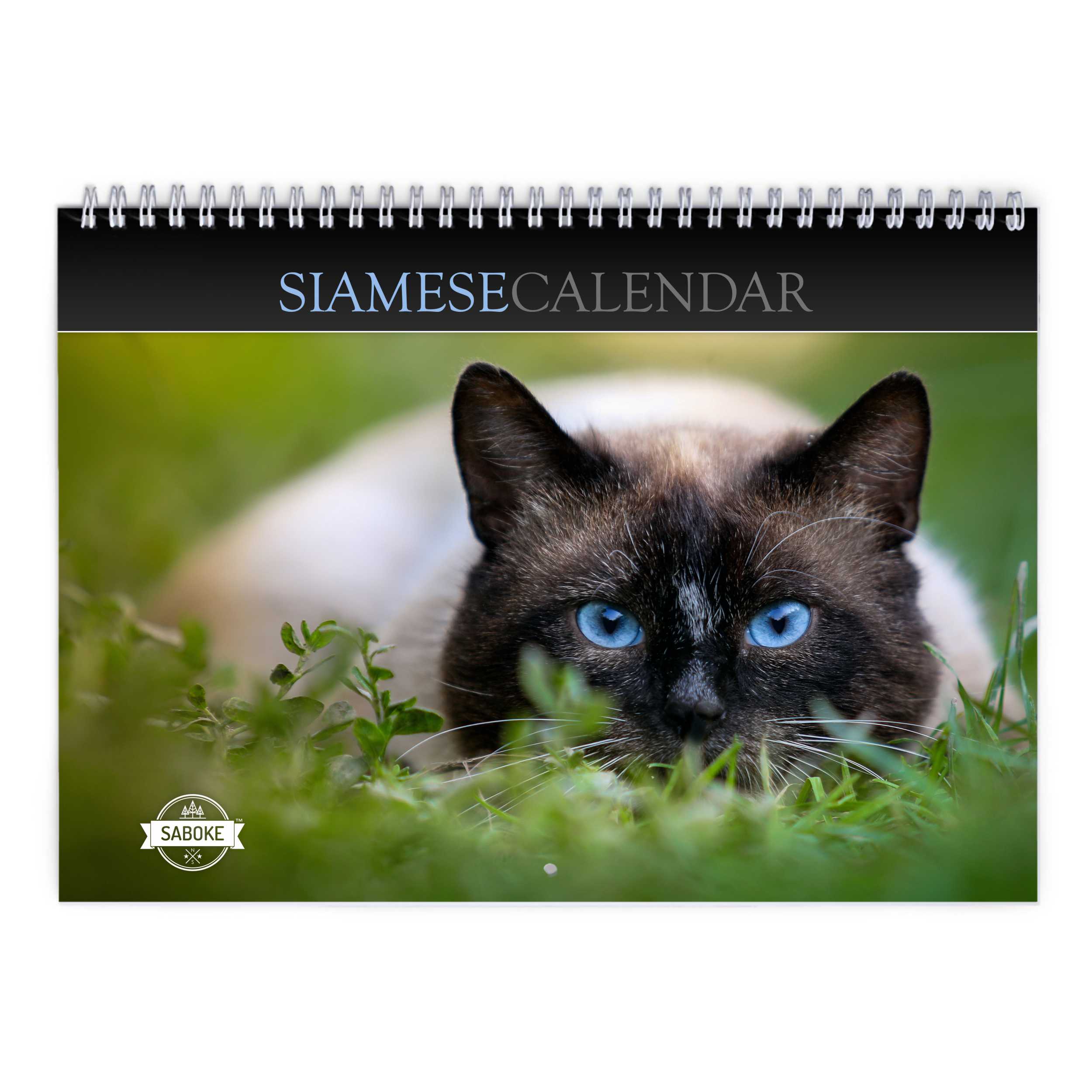 Siamese Cat 2024 Wall Calendar