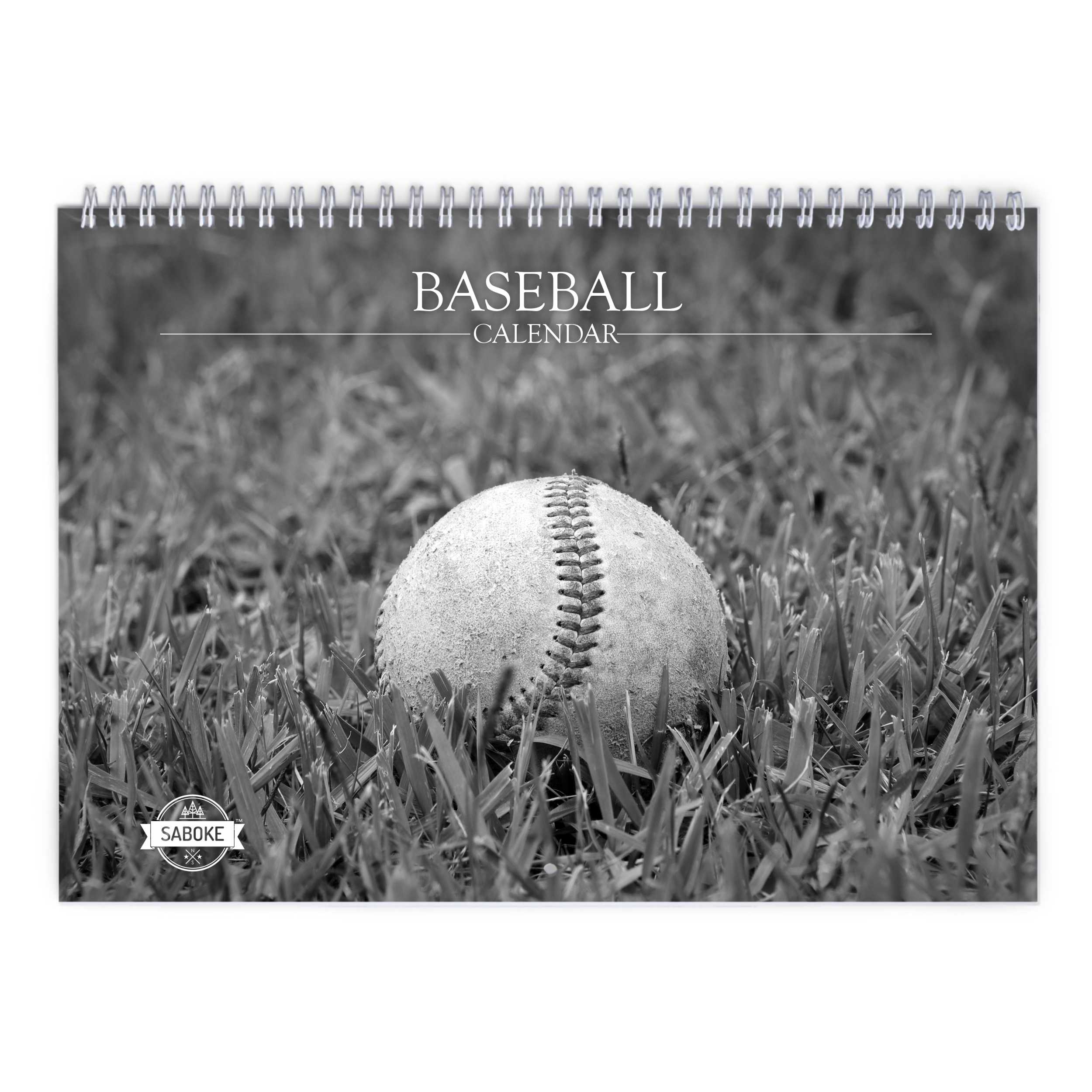 Baseball 2025 Wall Calendar   W23054 Cover 