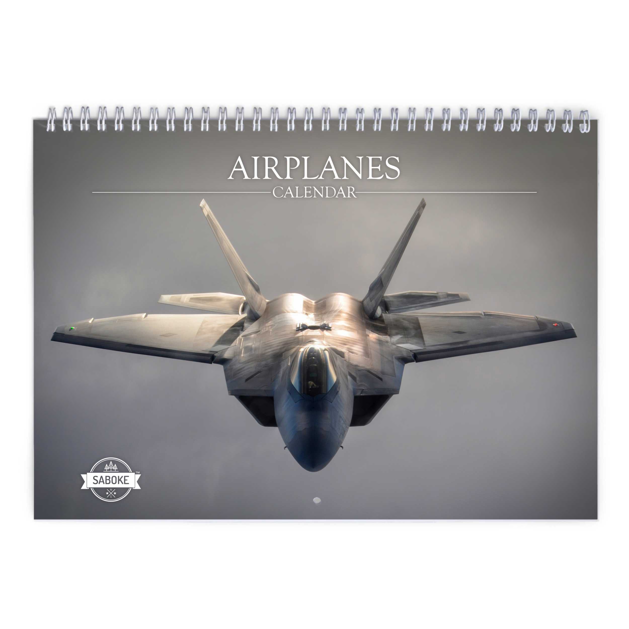 Airplanes 2025 Wall Calendar