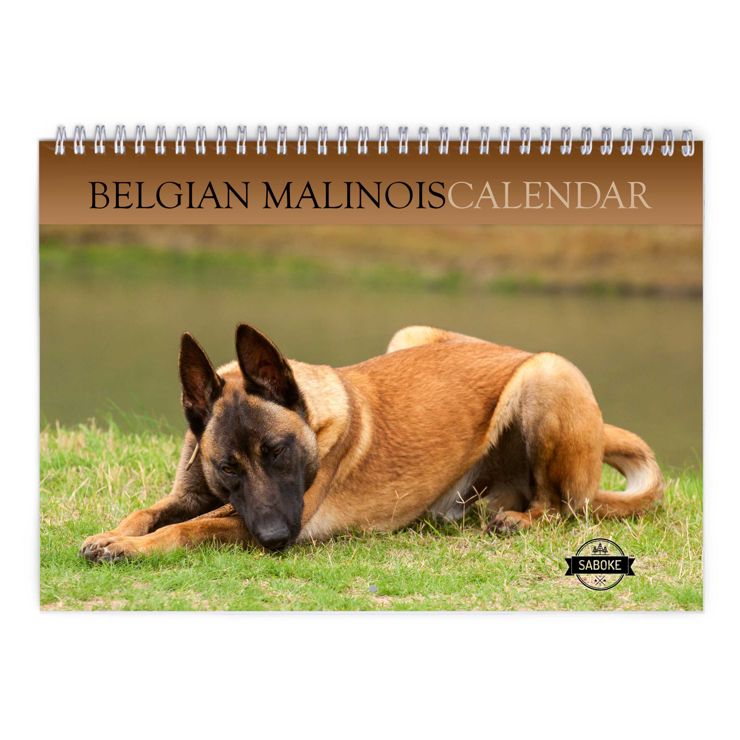 Belgian Malinois 2024 Wall Calendar