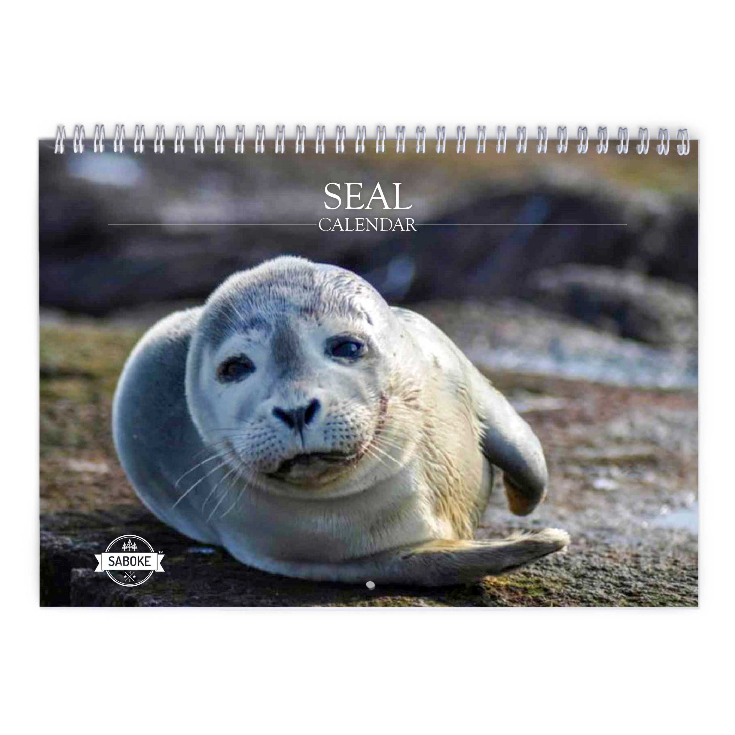 Seal 2025 Wall Calendar