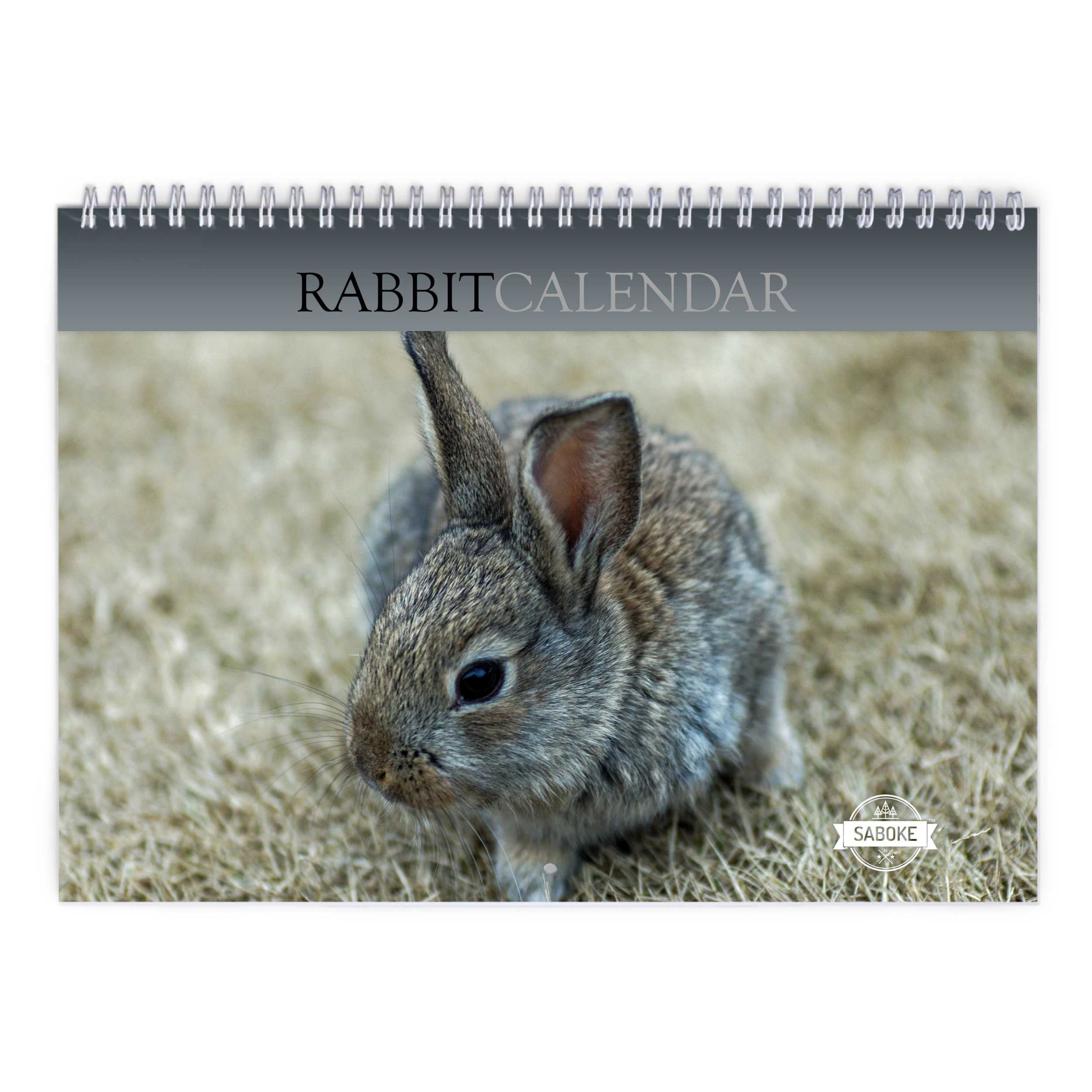 Rabbit 2025 Wall Calendar