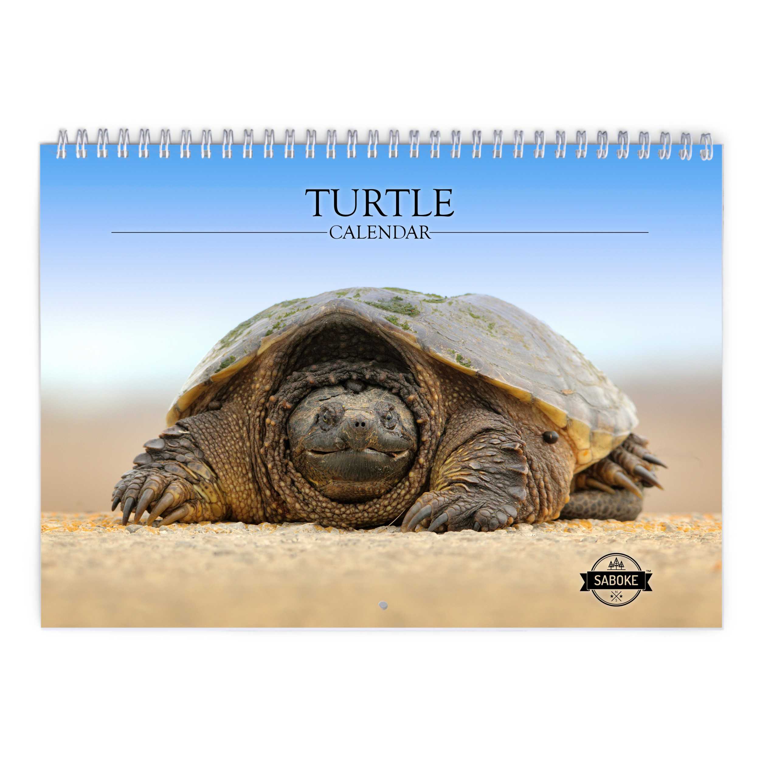 Turtle 2025 Wall Calendar