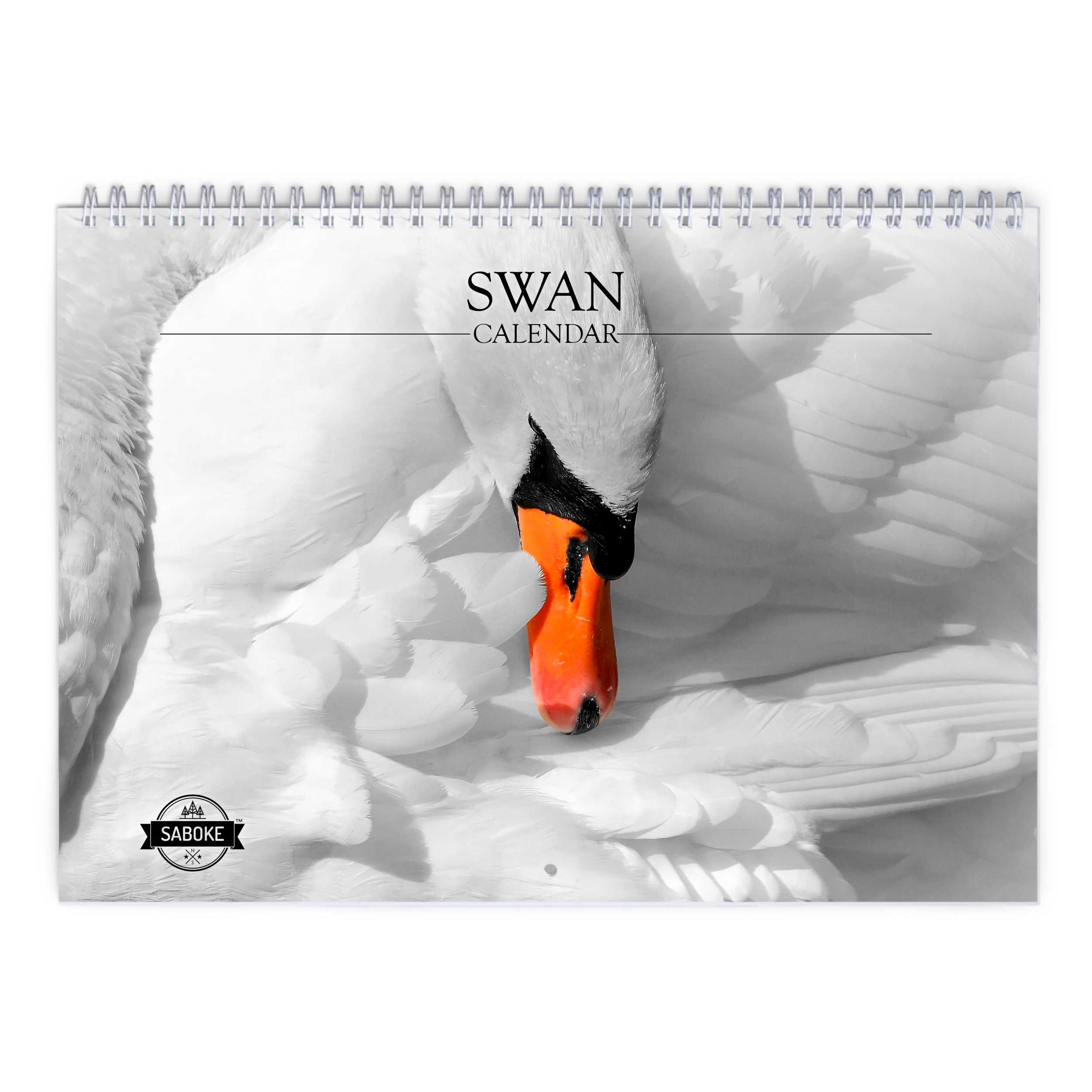 Swan 2024 Aguascalientes Weather Gerri Juanita