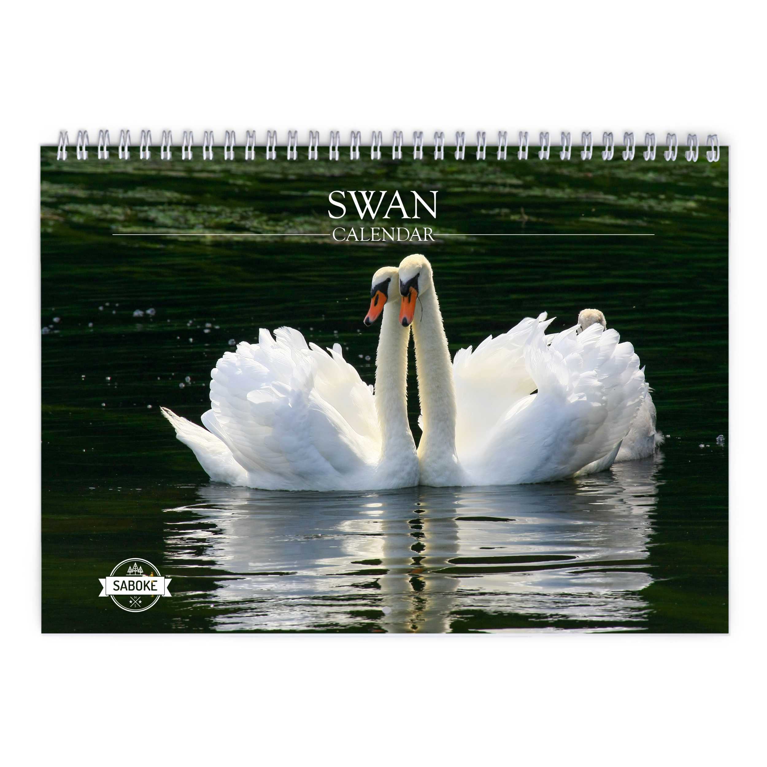 Swan 2025 Wall Calendar