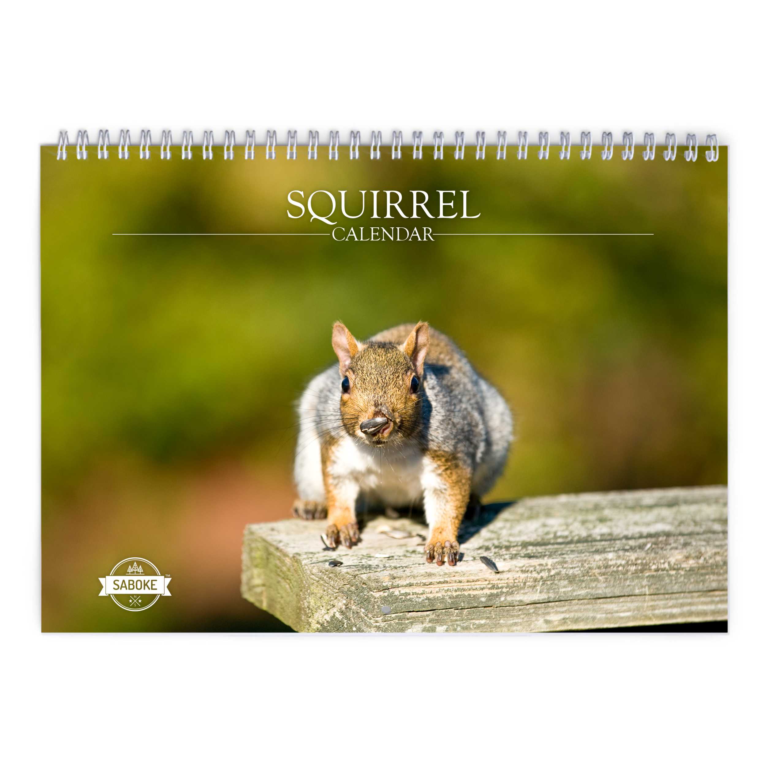 Squirrel 2025 Wall Calendar