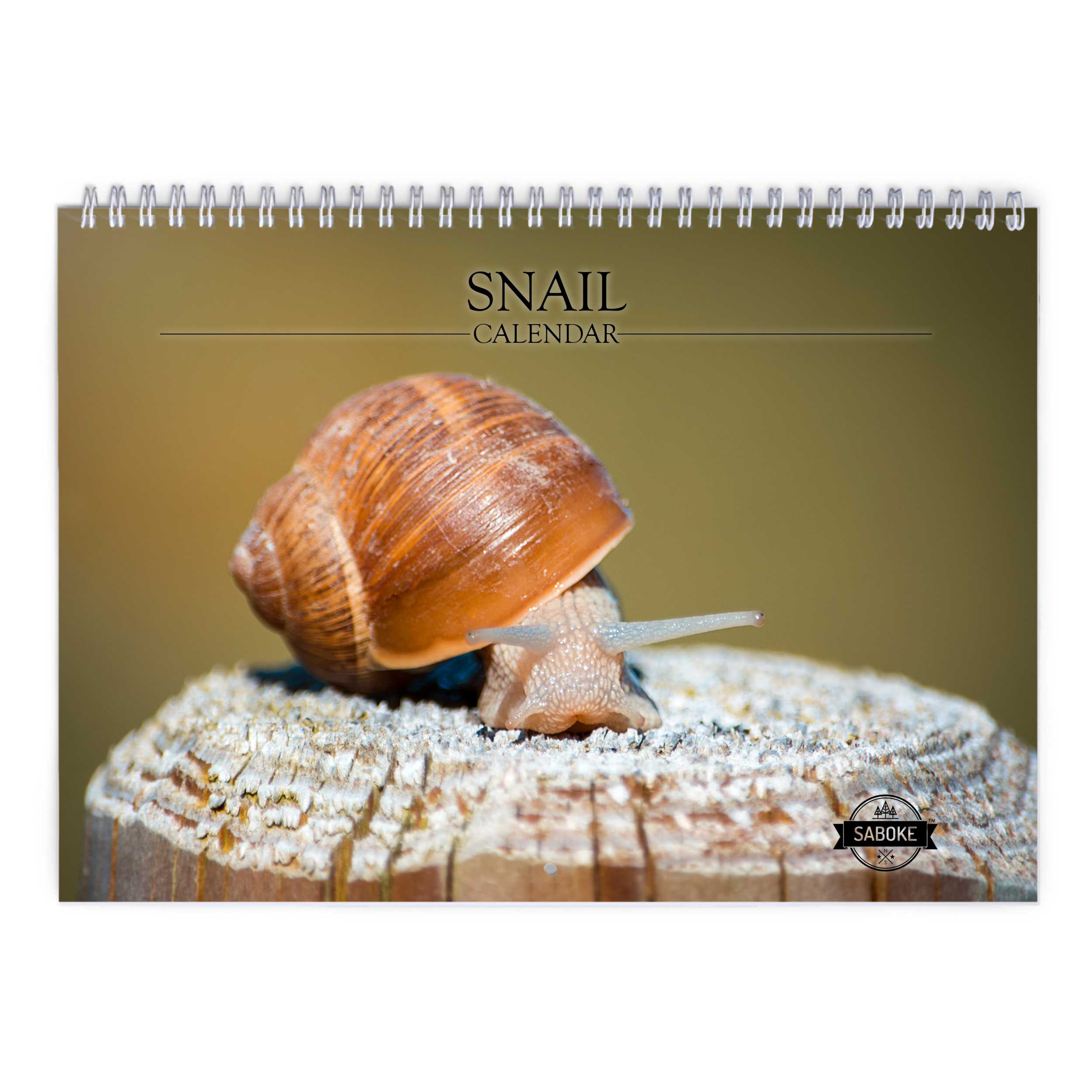 Snail 2025 Wall Calendar