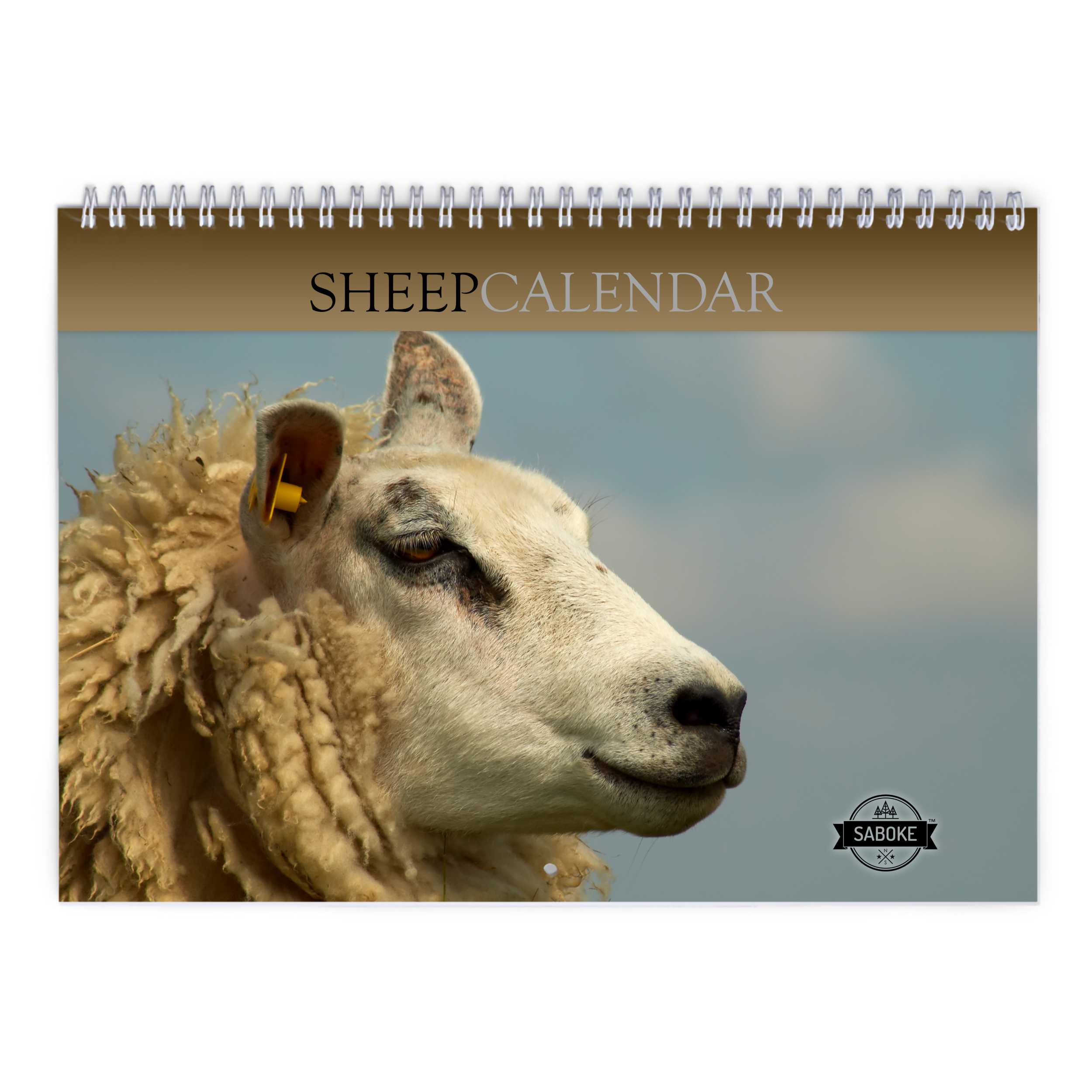 Sheep 2025 Wall Calendar   W24015 Cover 