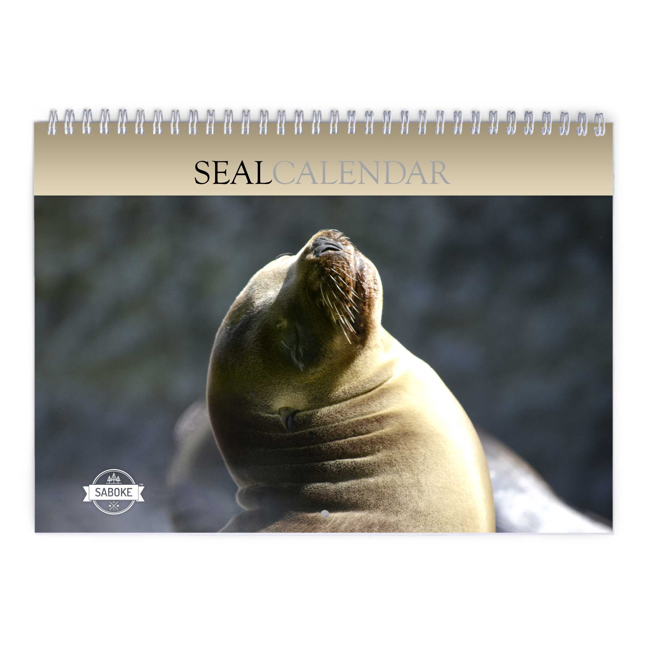 Seal 2025 Wall Calendar