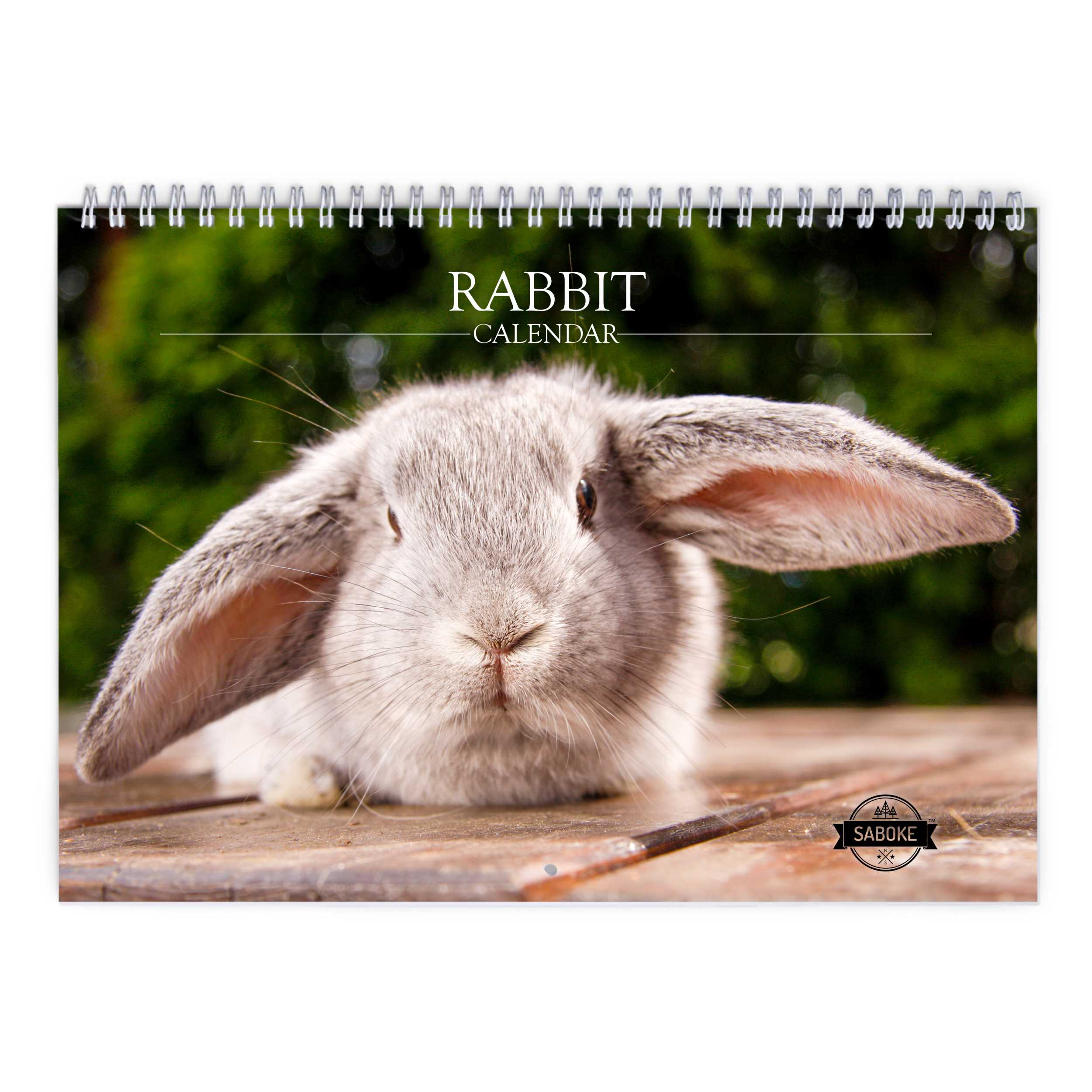 Rabbit 2025 Wall Calendar