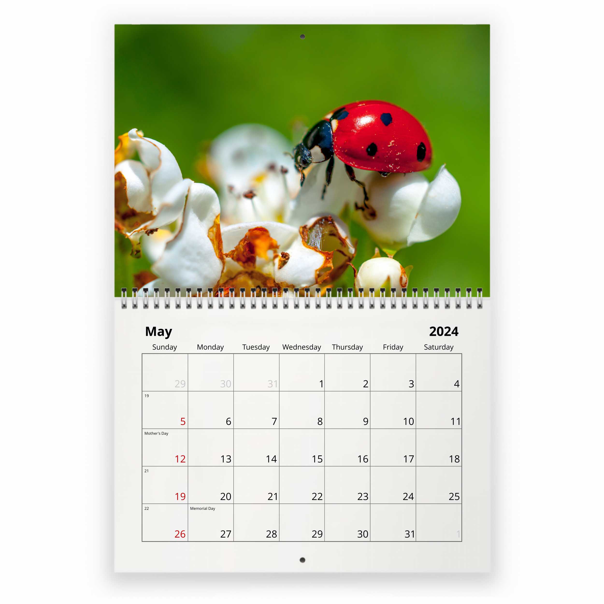 Miraculous: Tales of Ladybug and Cat Noir Wall Calendar 2024
